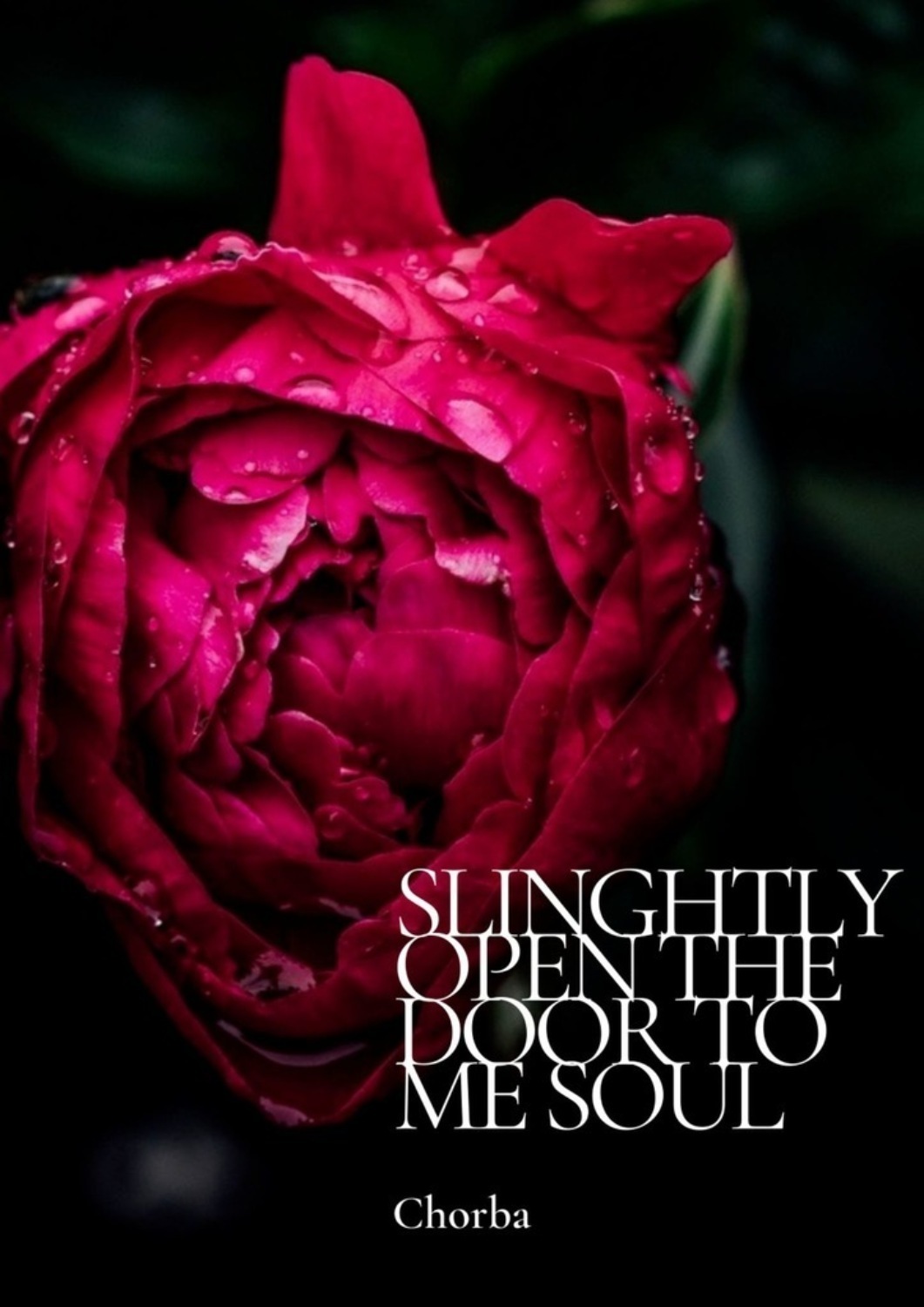 Обложка книги «Slinghtly open the door to me soul»