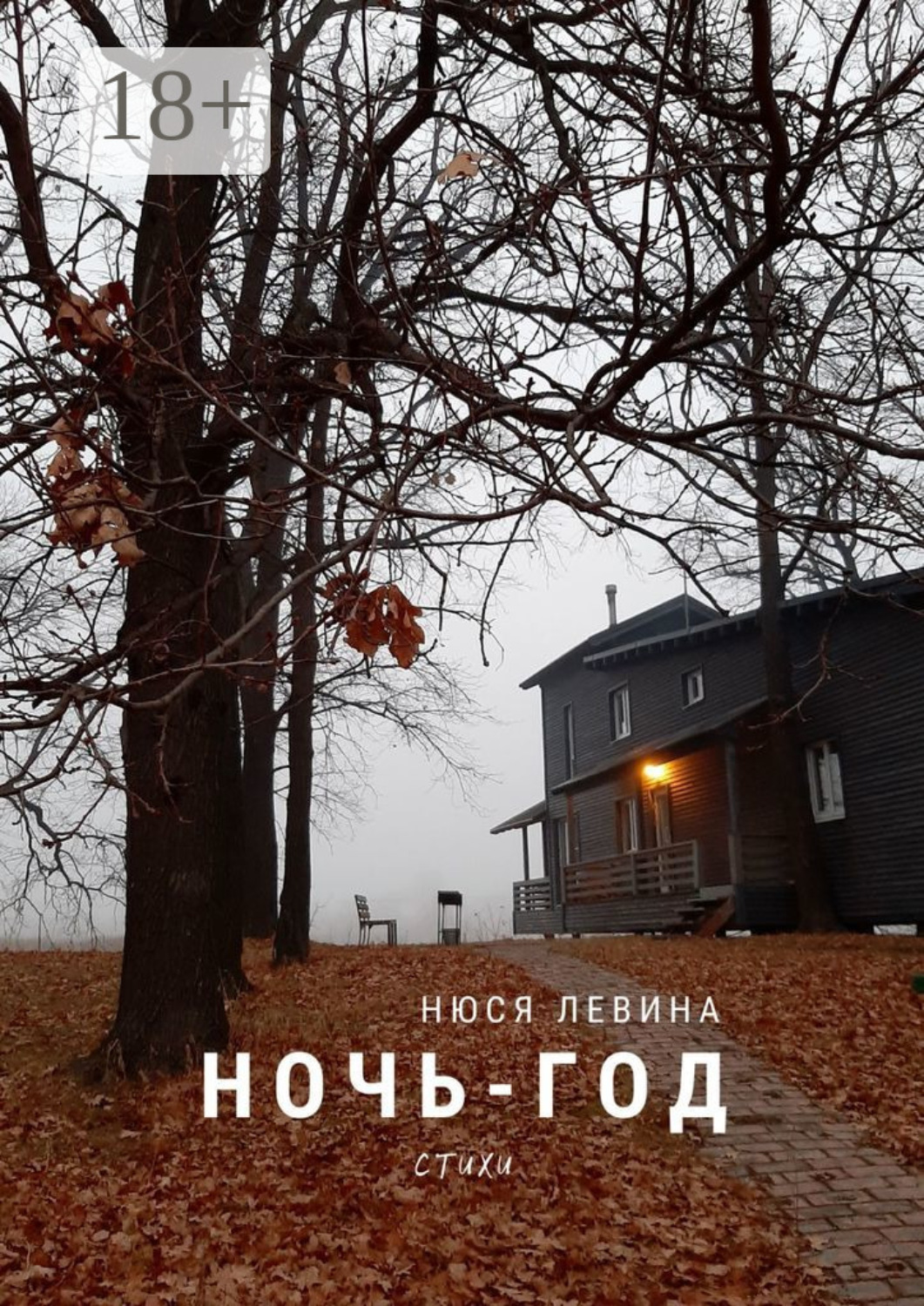 Обложка книги «Ночь – год. Стихи»