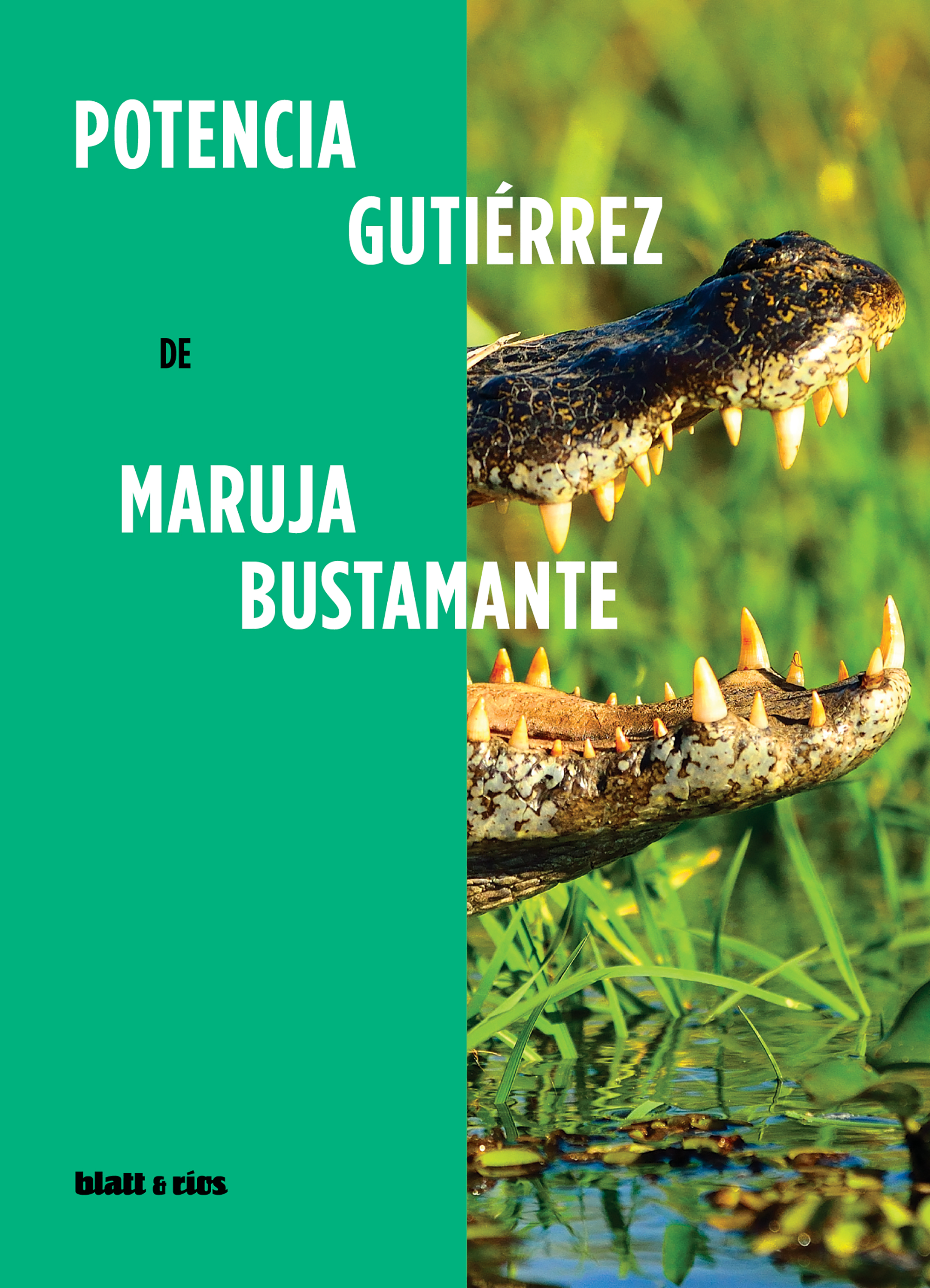 Обложка книги «Potencia Gutiérrez»