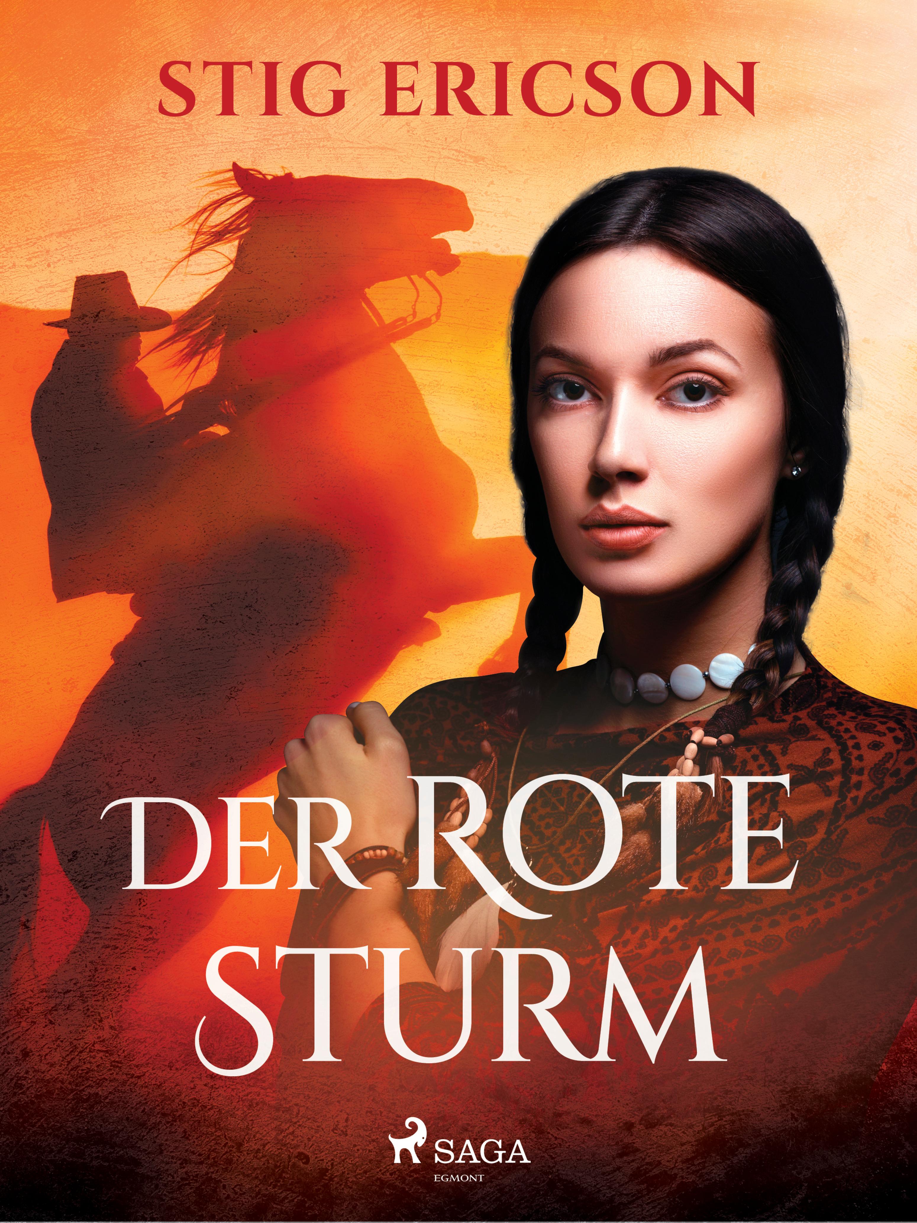 Обложка книги «Der rote Sturm»