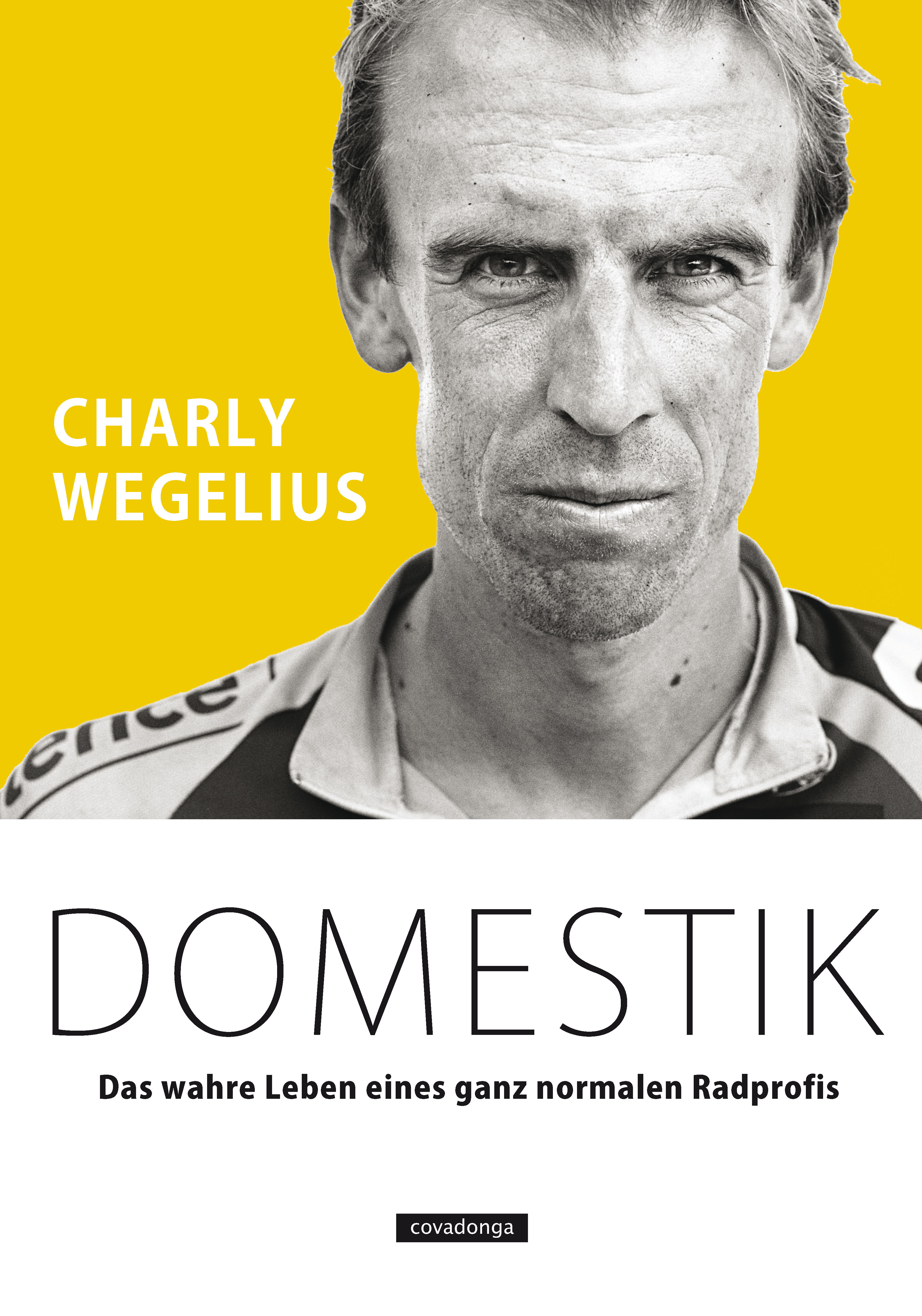 Обложка книги «Domestik»