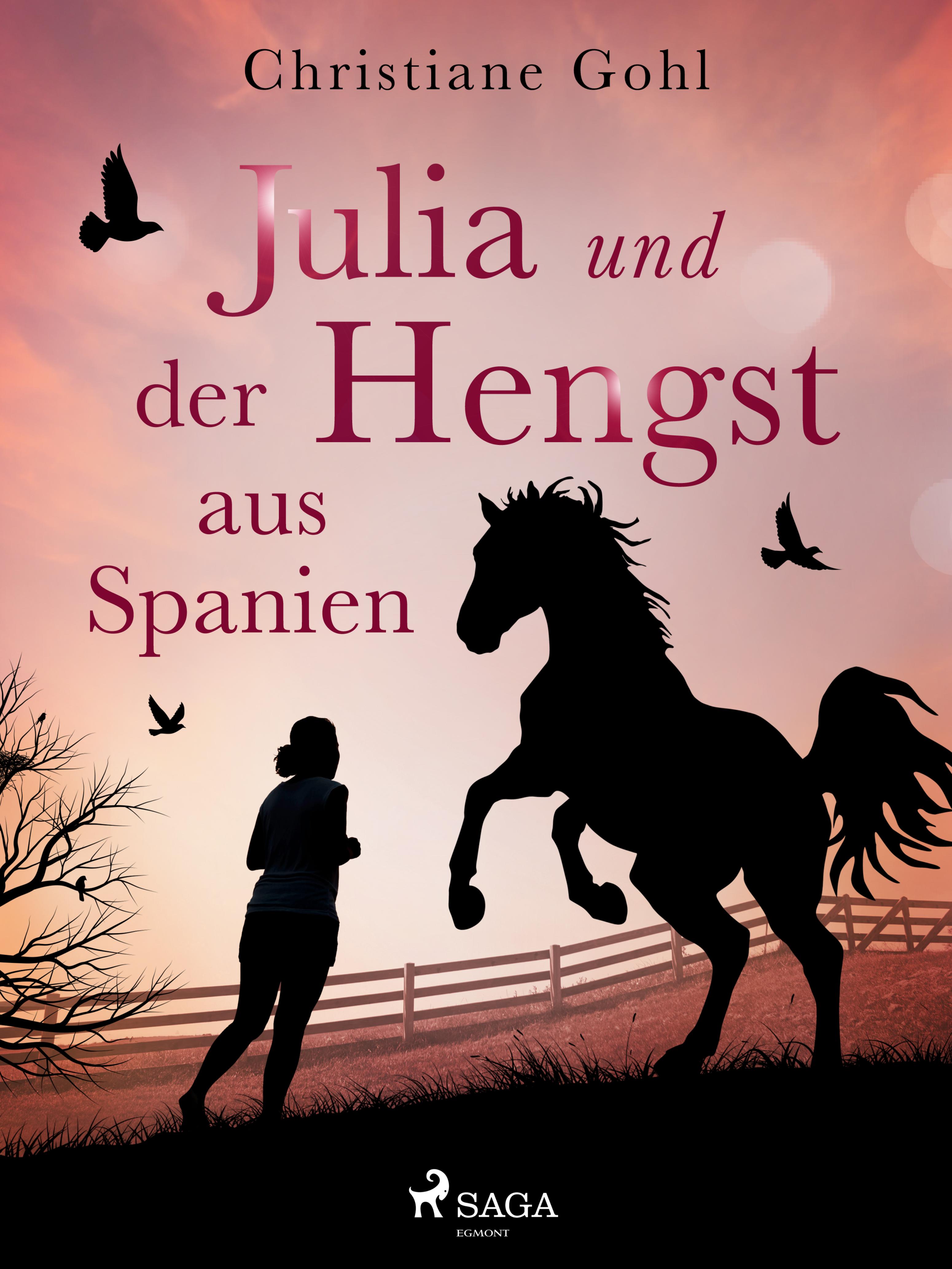 Обложка книги «Julia und der Hengst aus Spanien»