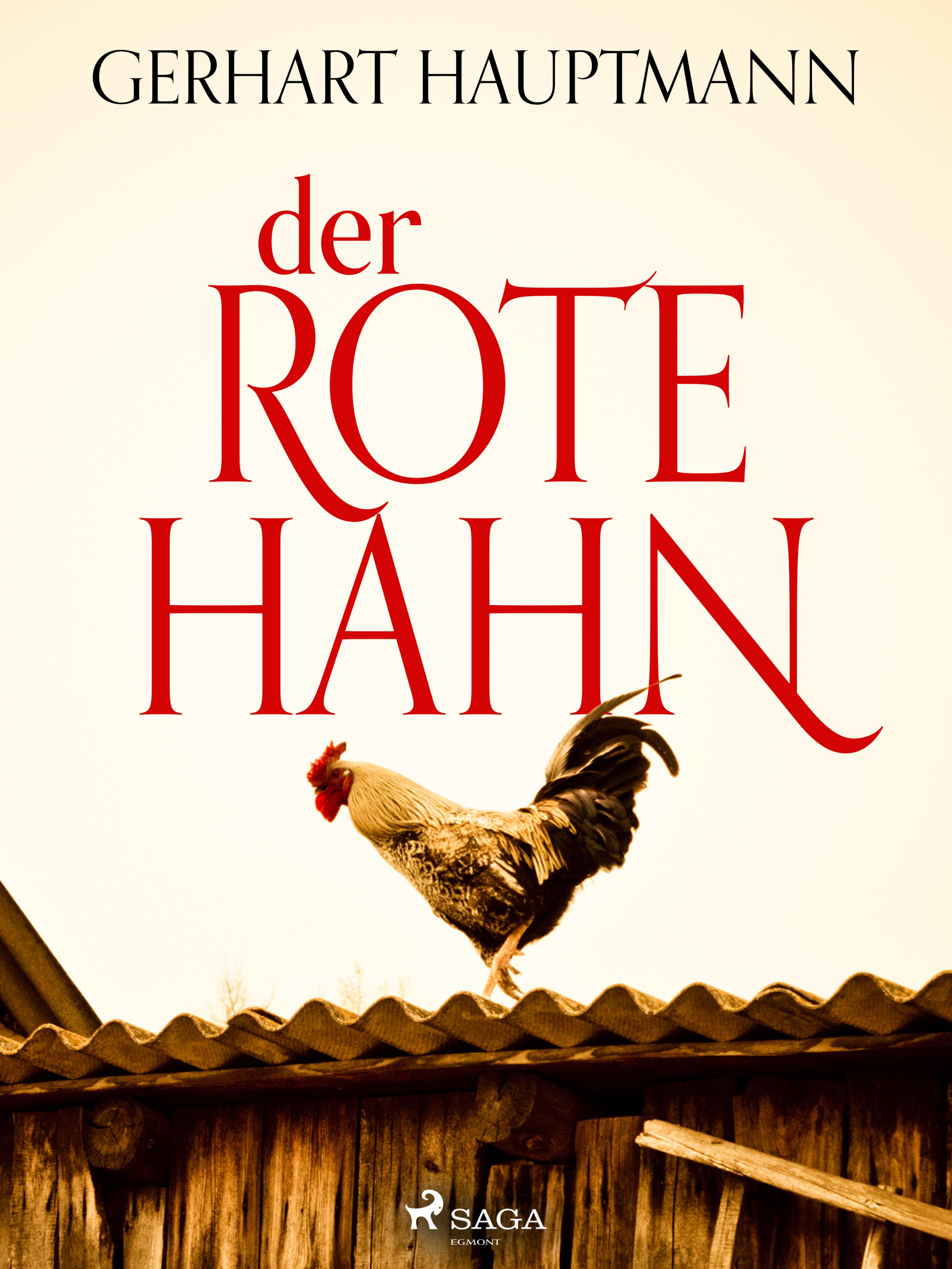 Обложка книги «Der rote Hahn»