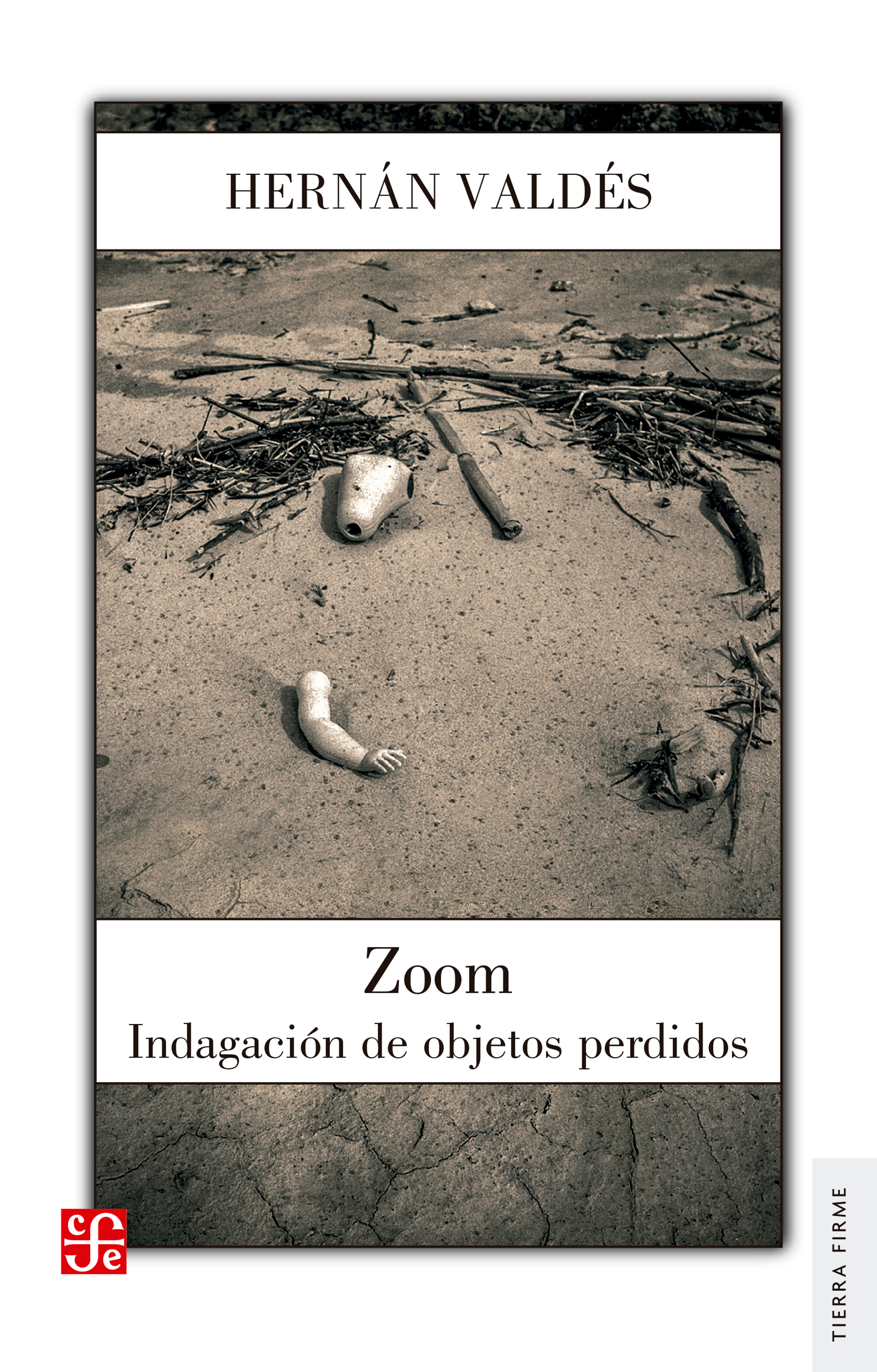 Обложка книги «Zoom»