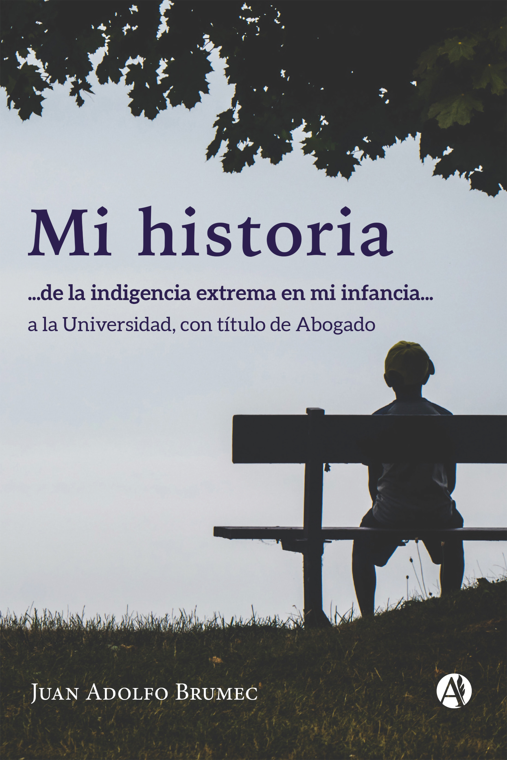Обложка книги «MI HISTORIA»