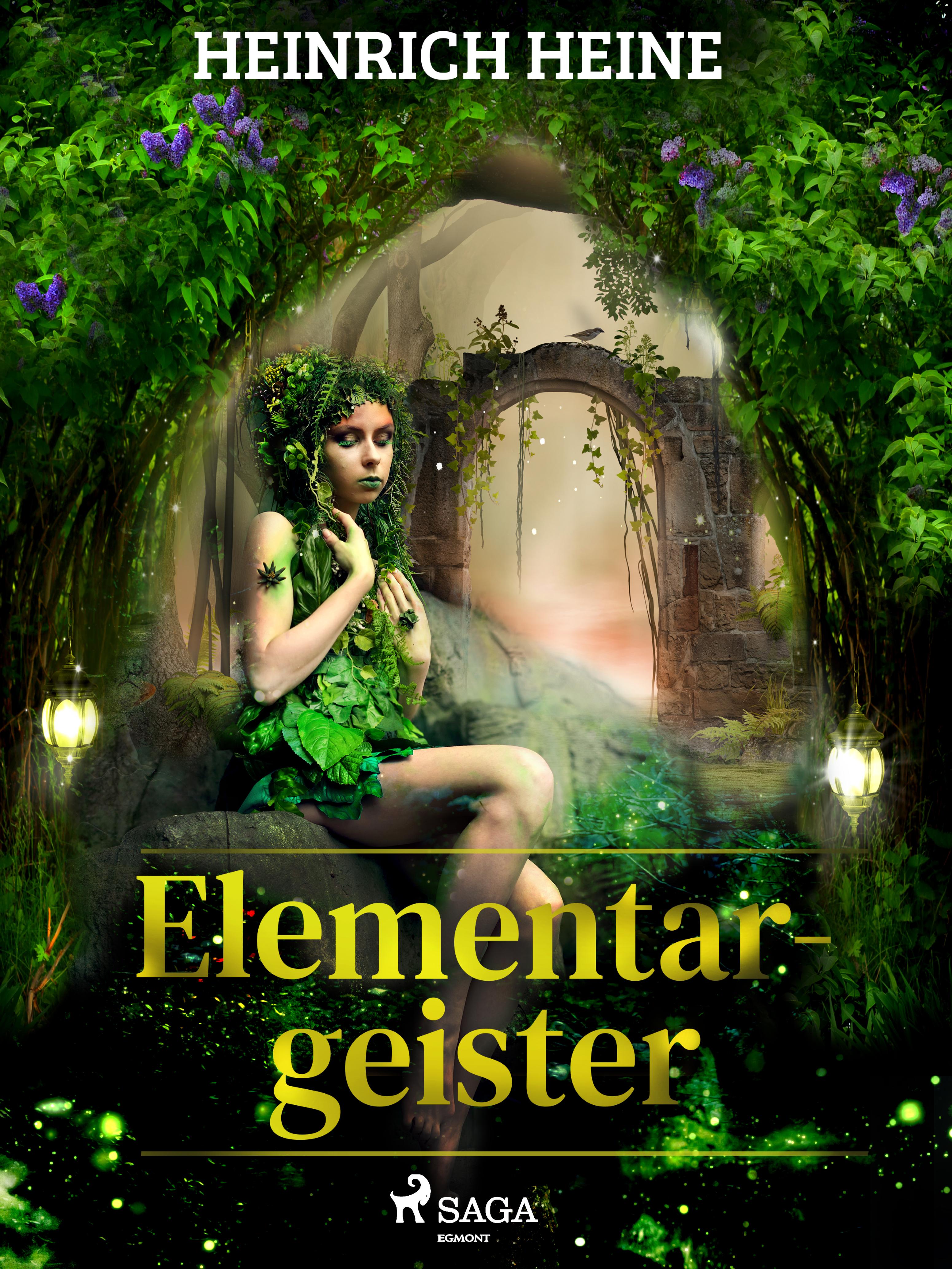 Обложка книги «Elementargeister»