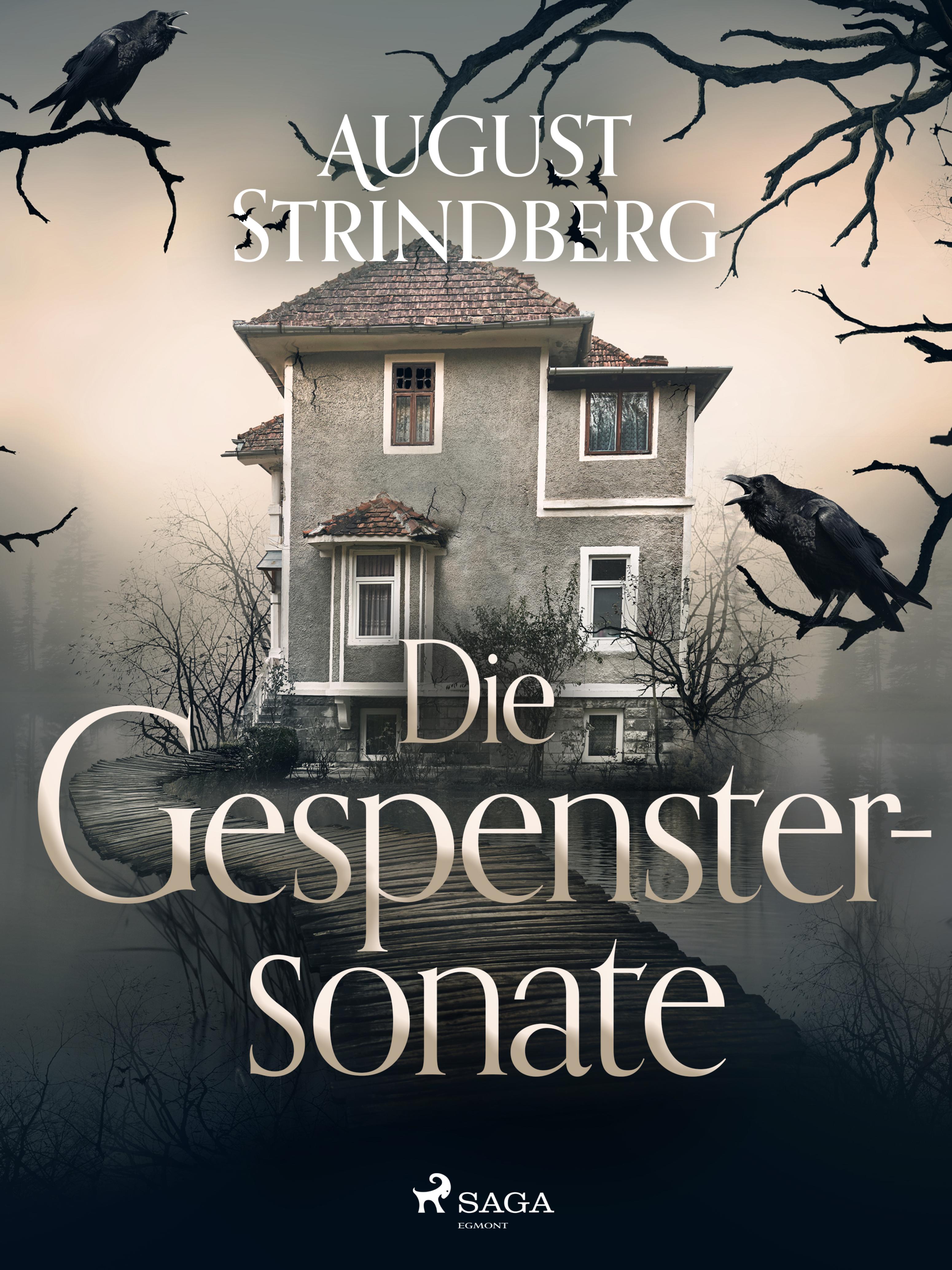 Обложка книги «Die Gespenstersonate»