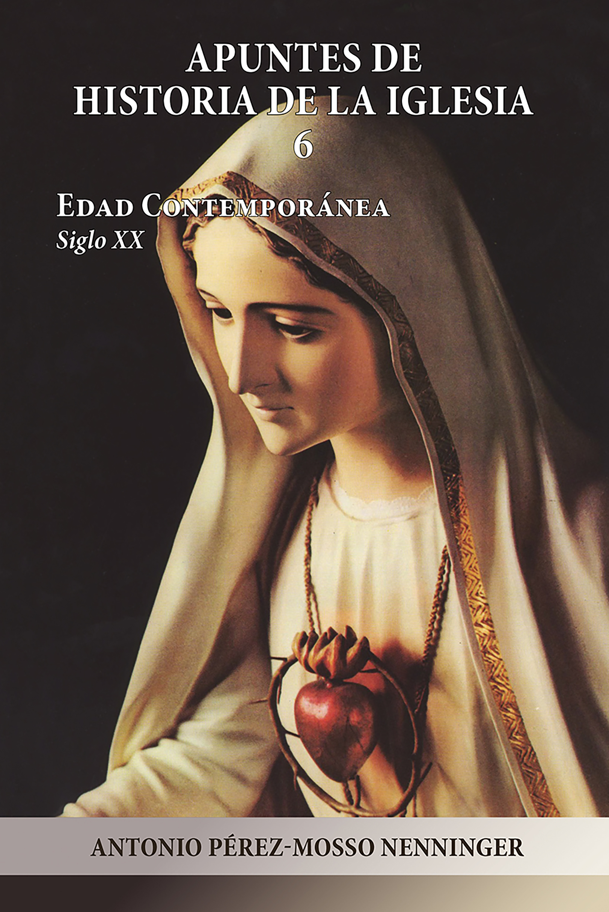 Обложка книги «Apuntes de Historia de la Iglesia 6»