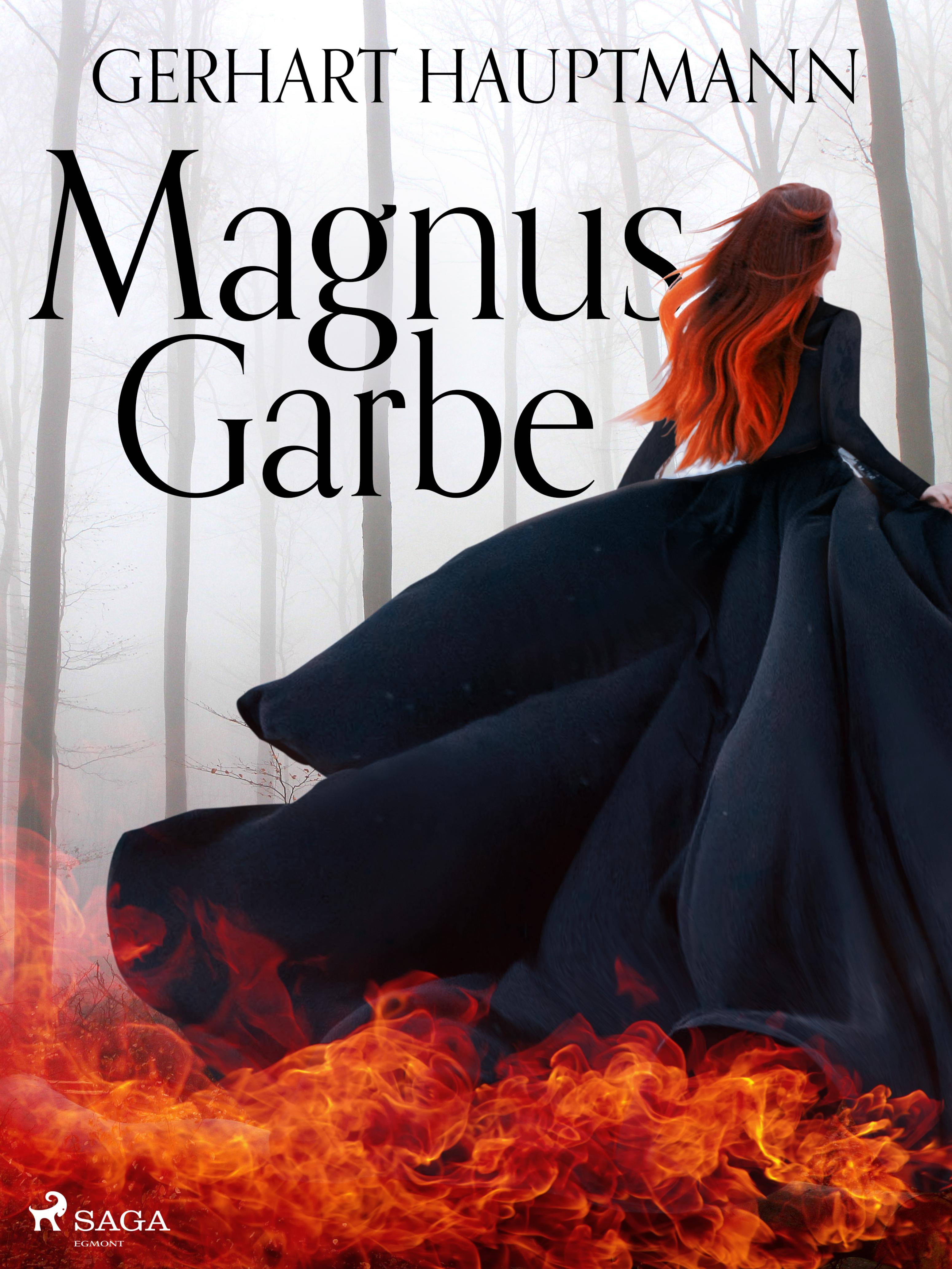 Обложка книги «Magnus Garbe»