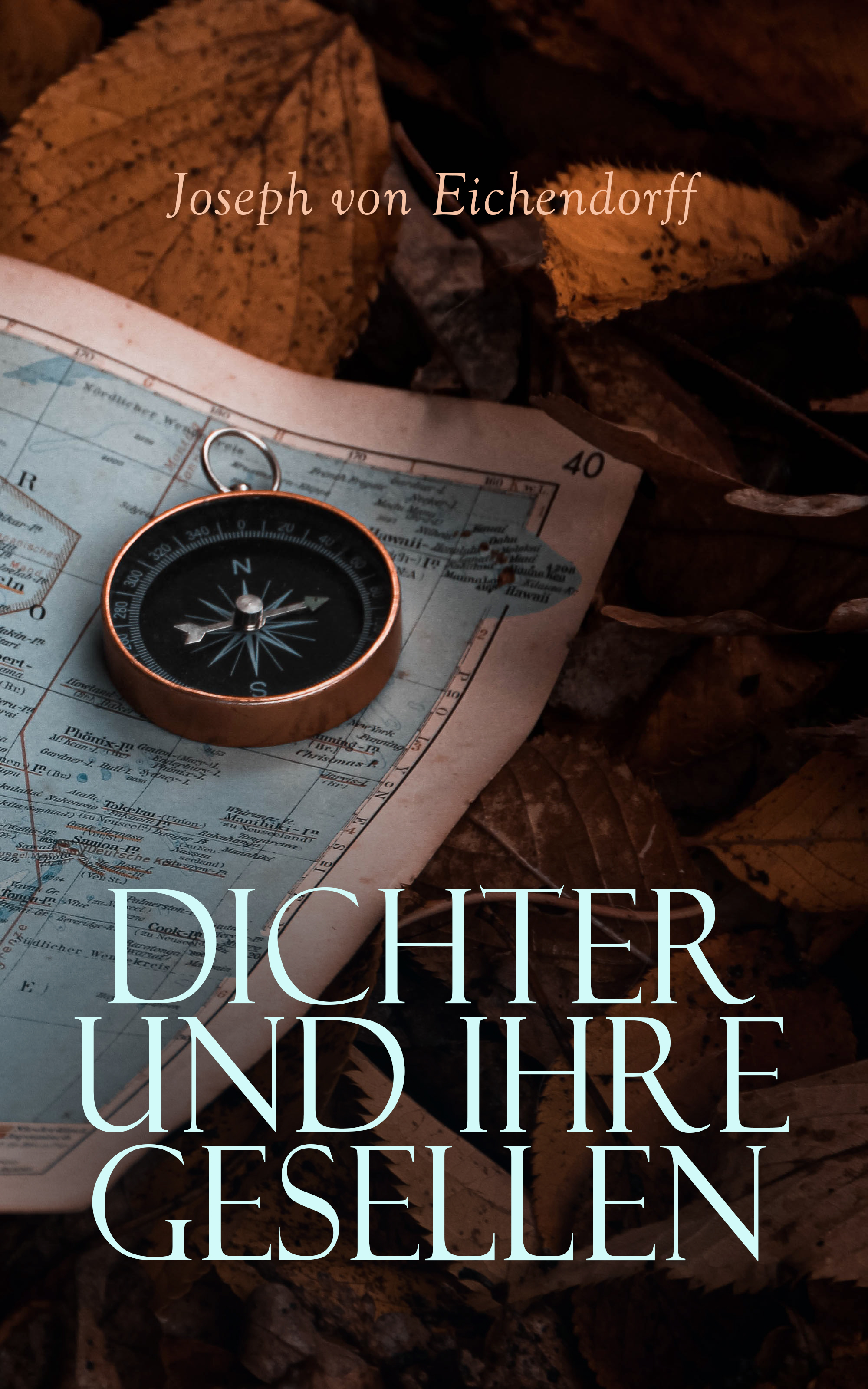 Обложка книги «Dichter und ihre Gesellen»