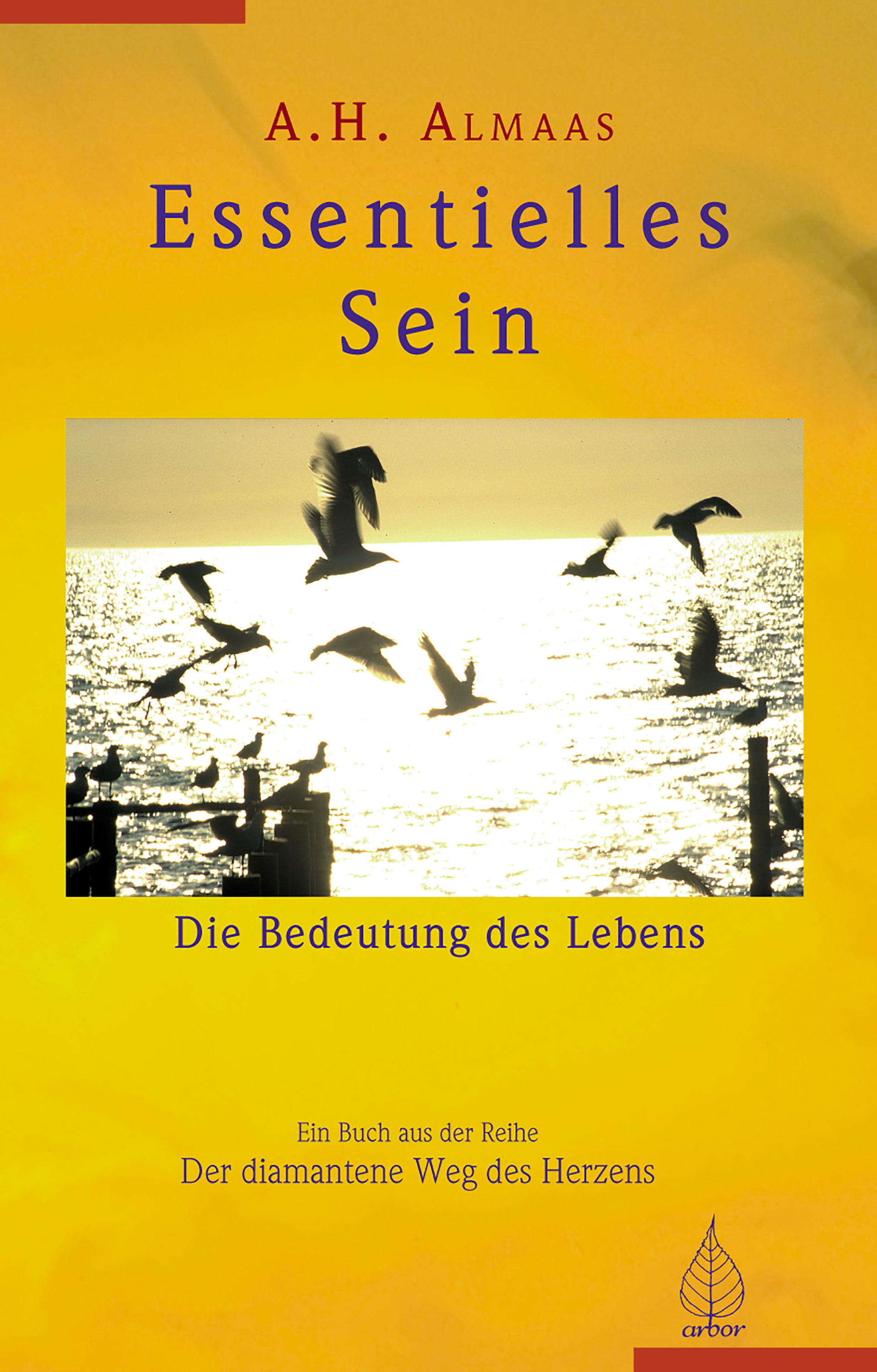 Обложка книги «Essentielles Sein»