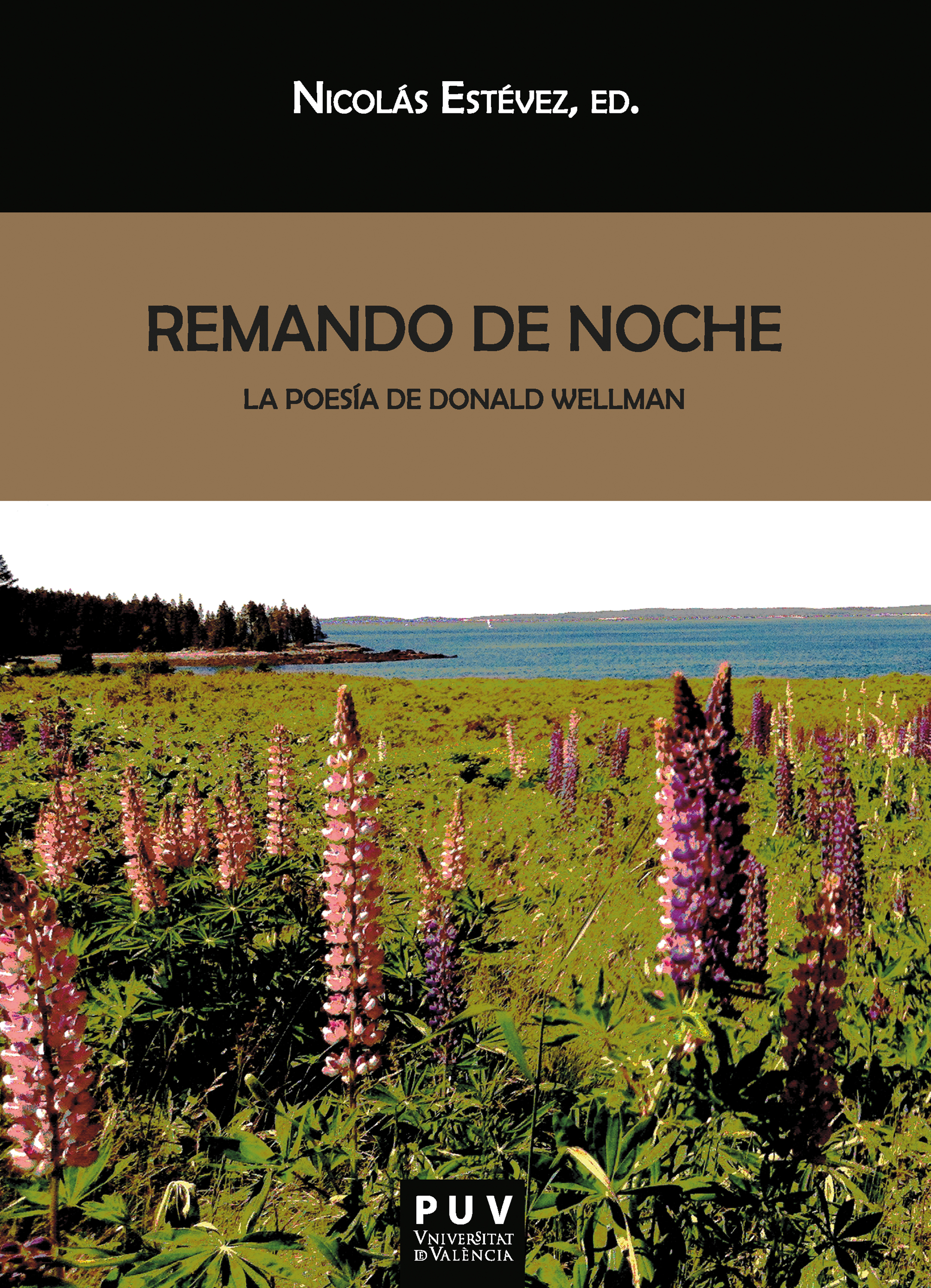 Обложка книги «Remando de noche»