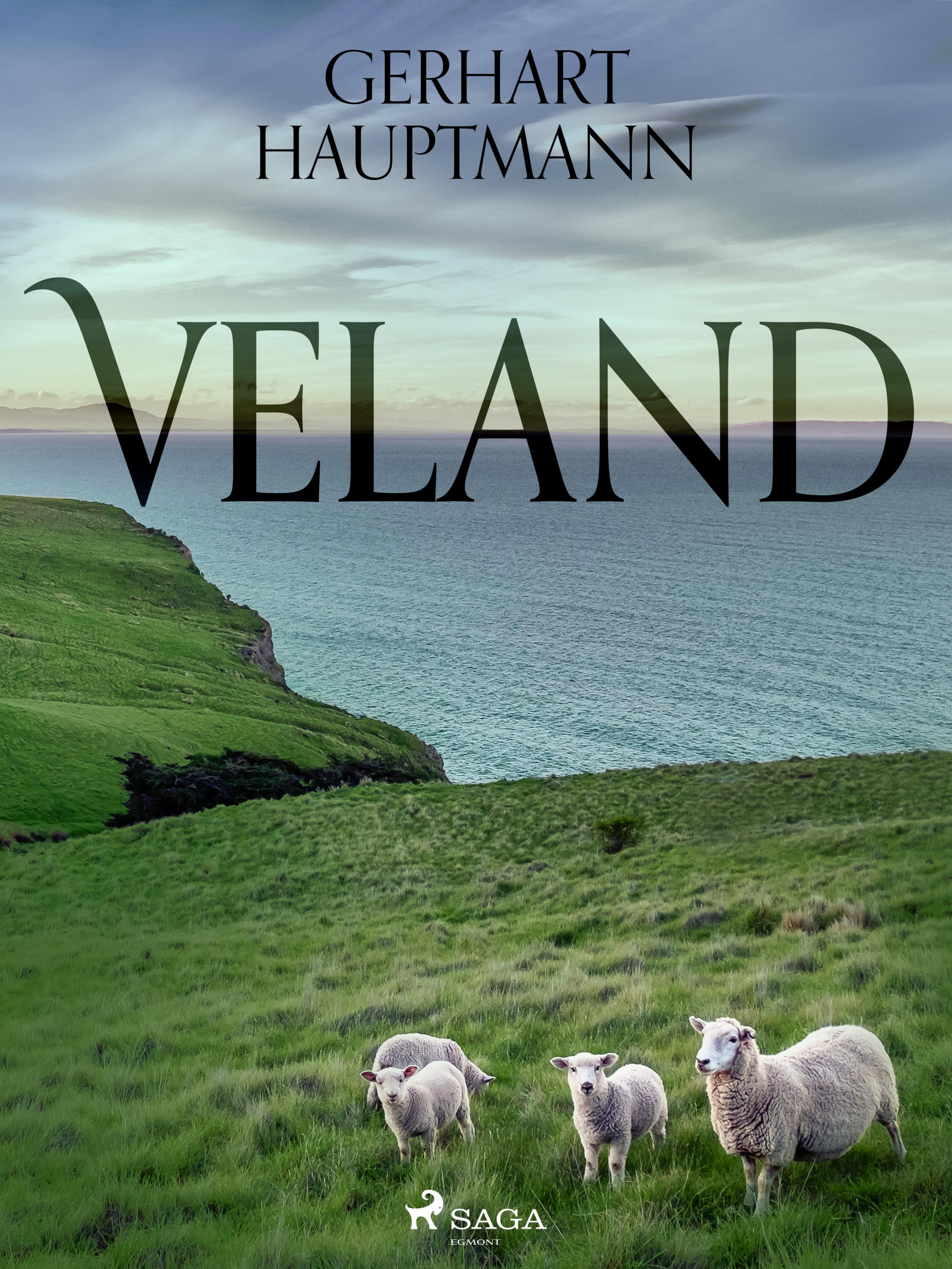 Обложка книги «Veland»