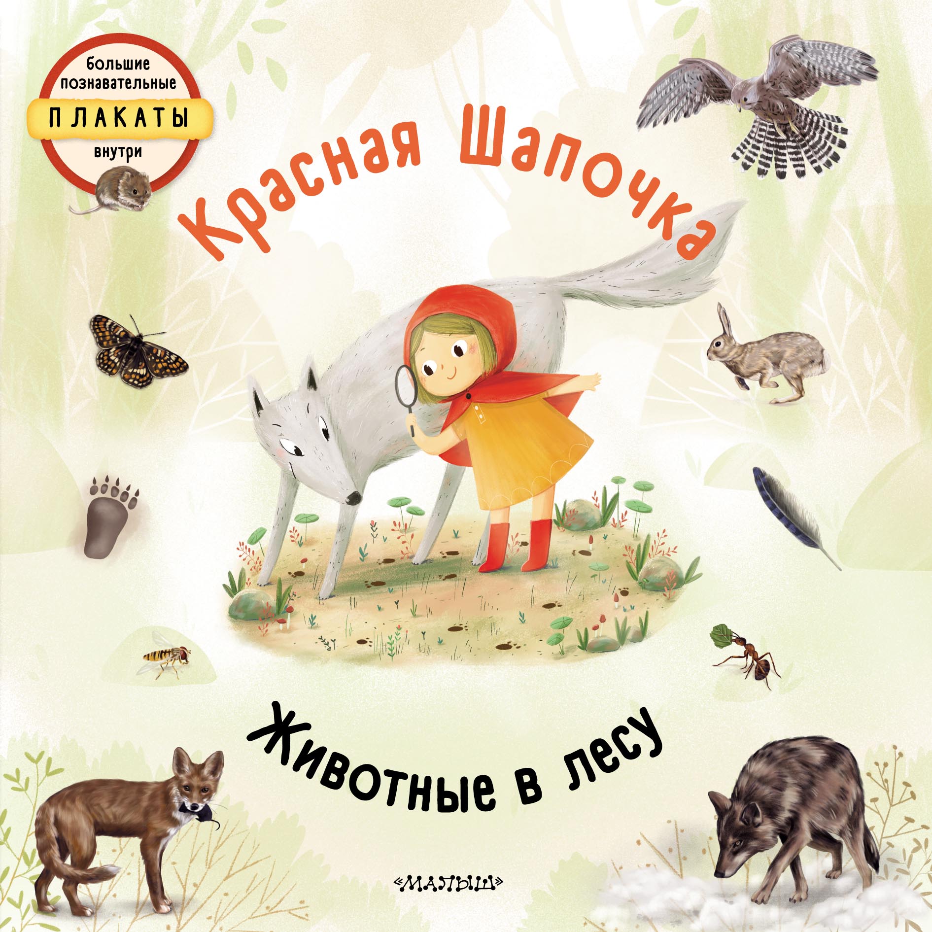 Обложка книги «Красная шапочка. Животные в лесу»