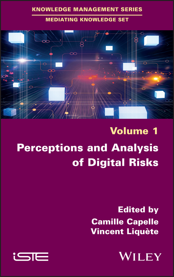 Обложка книги «Perceptions and Analysis of Digital Risks»