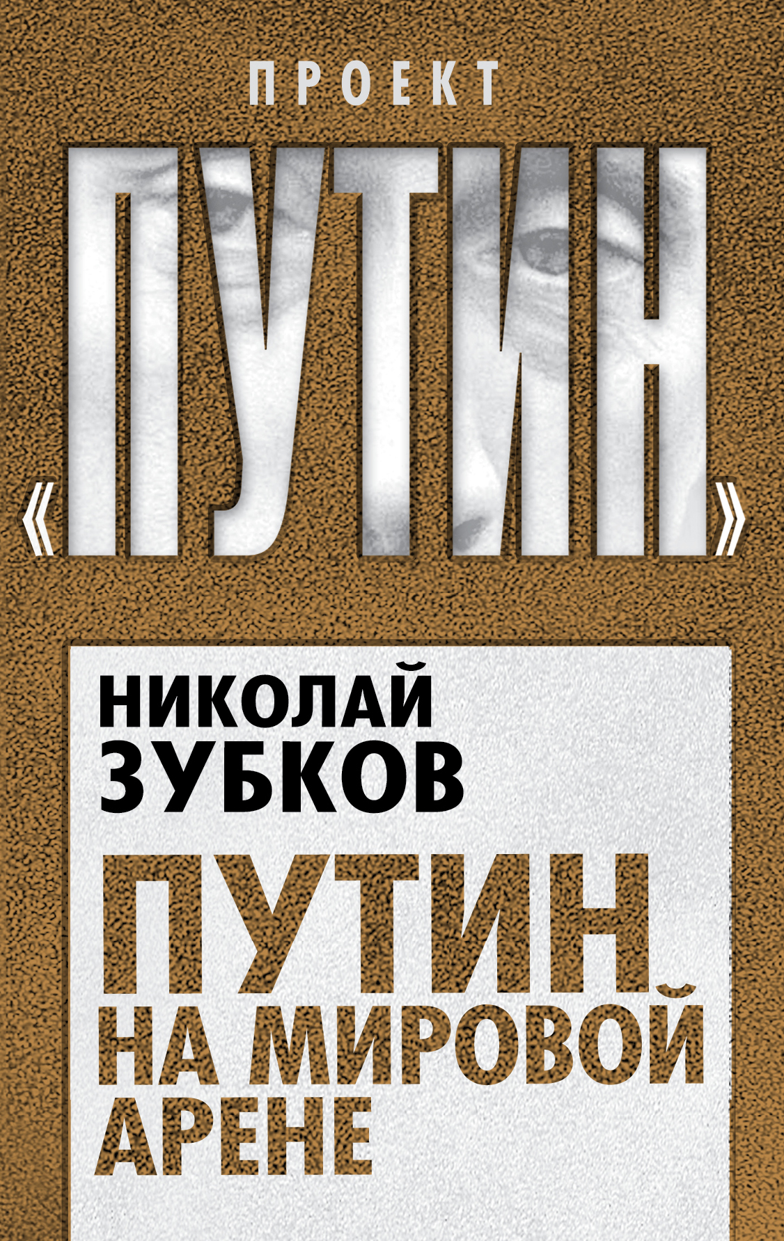 Обложка книги «Путин на мировой арене»