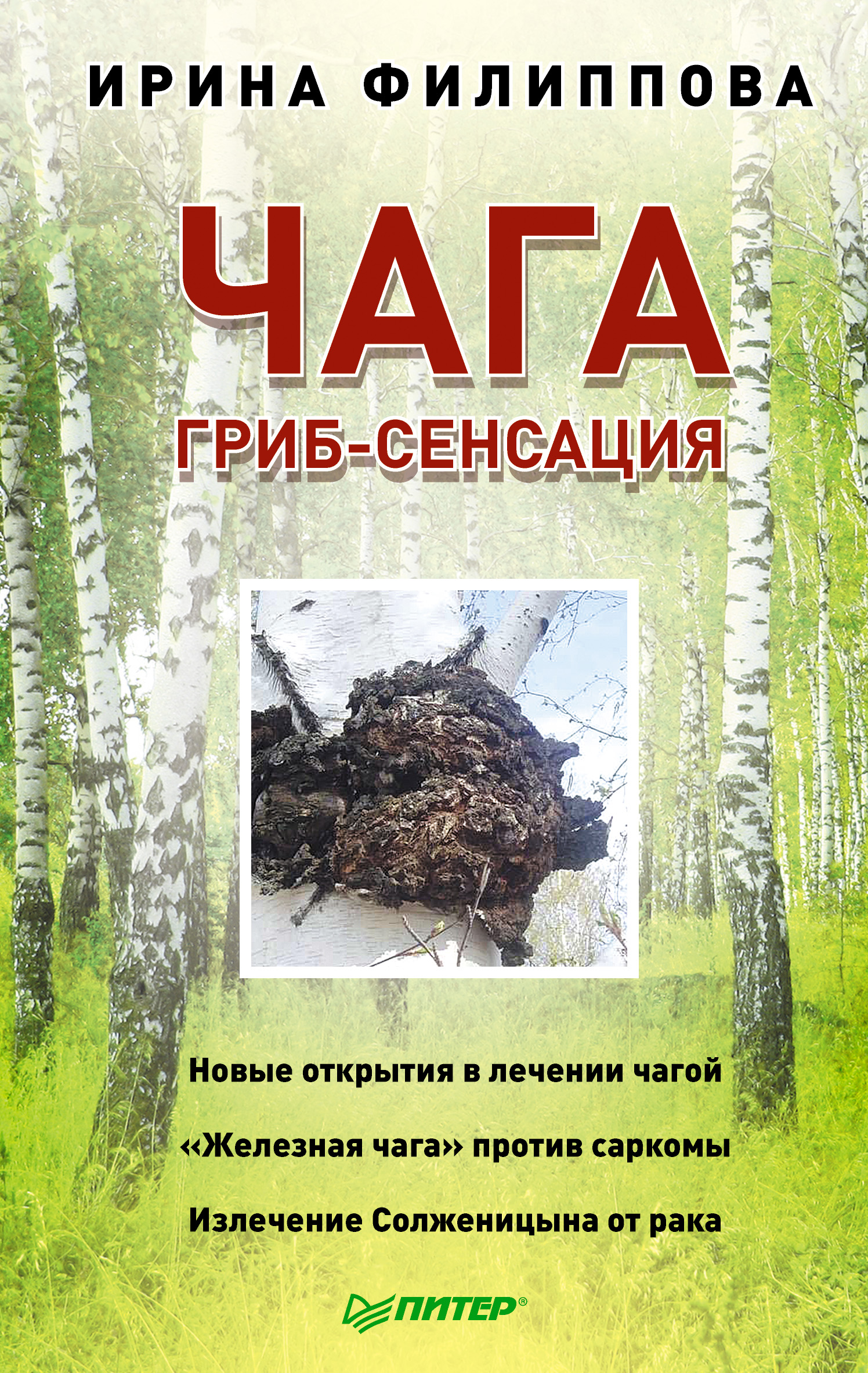 Обложка книги «Чага. Гриб-сенсация»