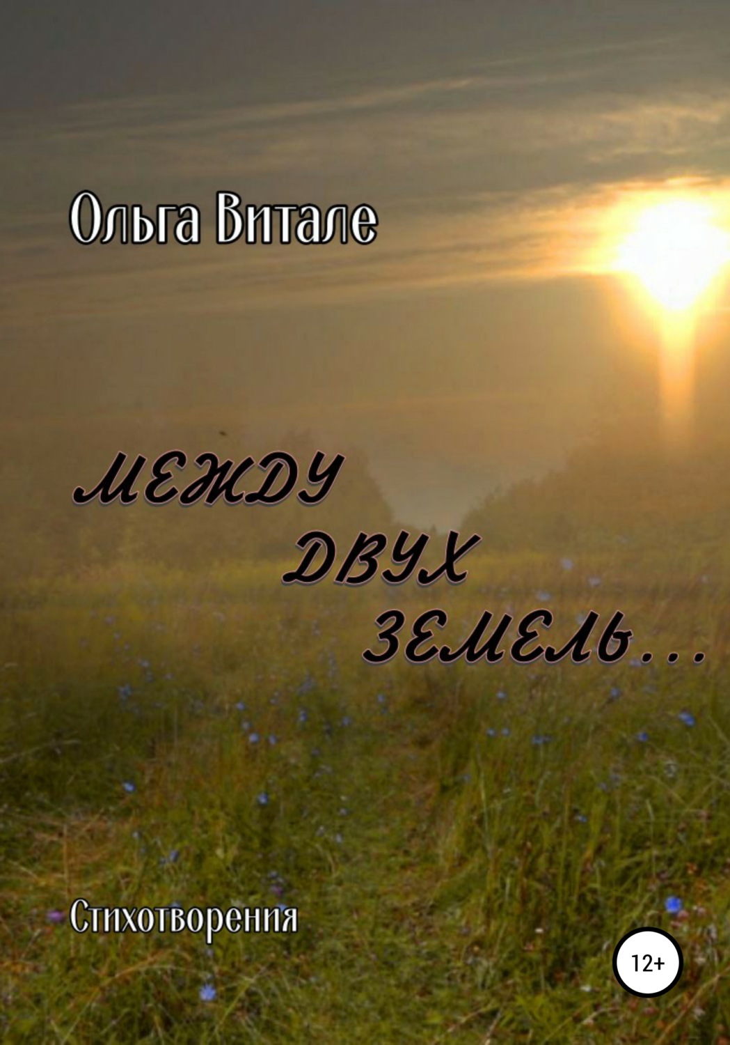 Обложка книги «Между двух земель»