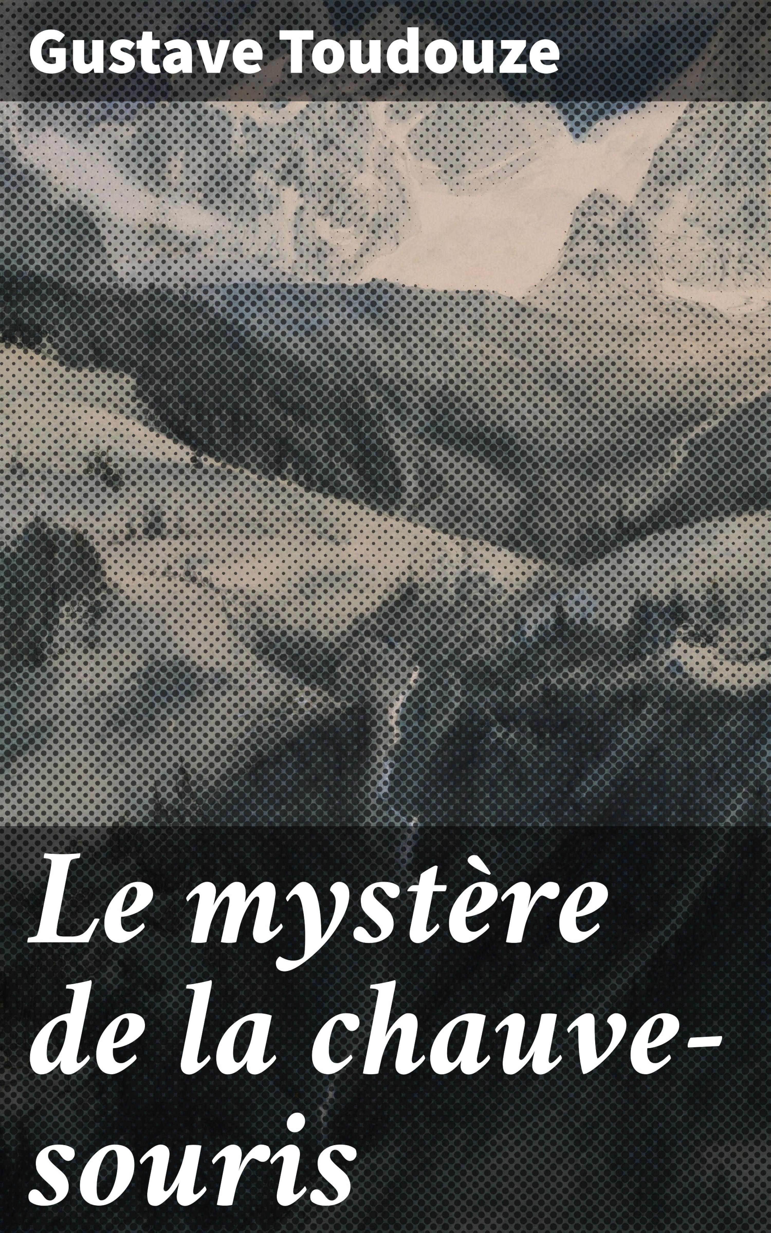 Обложка книги «Le mystère de la chauve-souris»