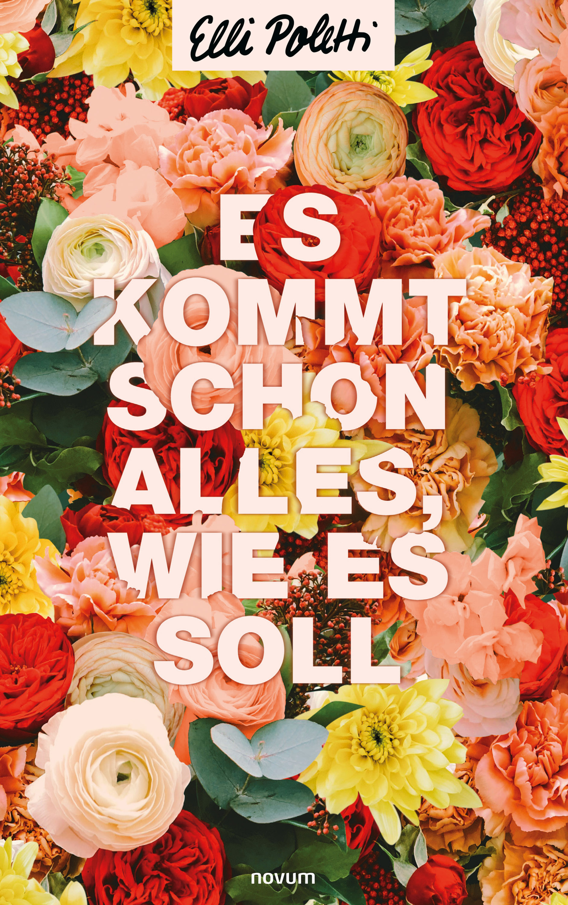 Обложка книги «Es kommt schon alles, wie es soll»