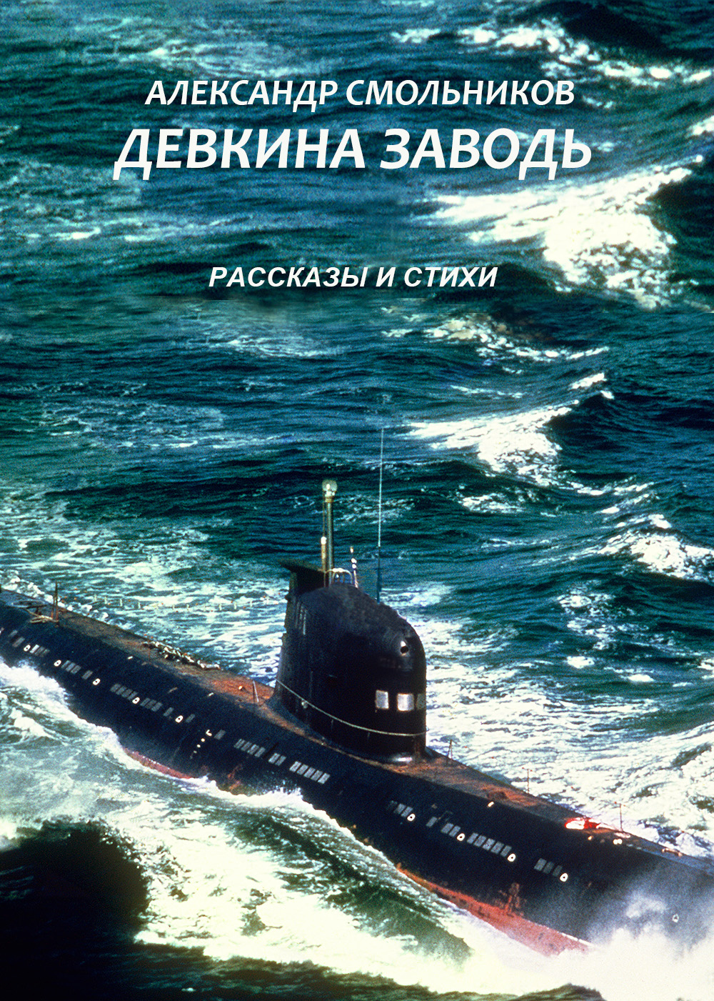 Обложка книги «Девкина заводь»