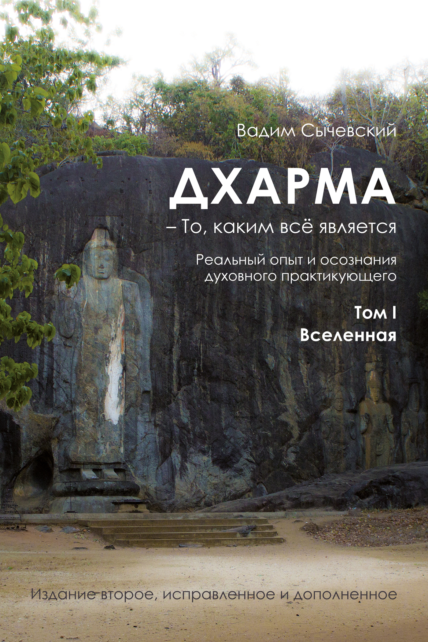 Обложка книги «Дхарма – То, каким всё является. Реальный опыт и осознания духовного практикующего. Том I. Вселенная»