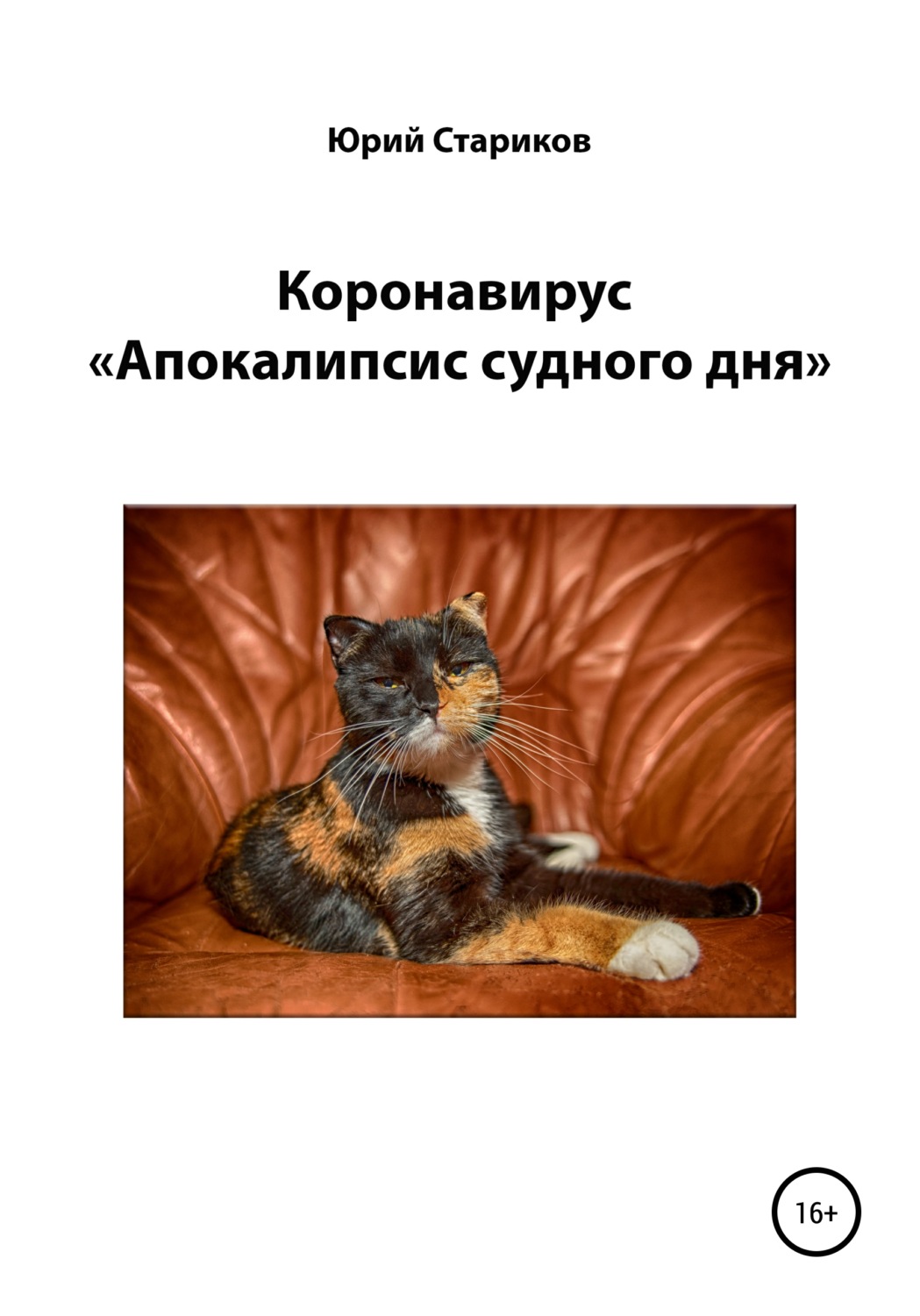 Обложка книги «Коронавирус. «Апокалипсис судного дня»»