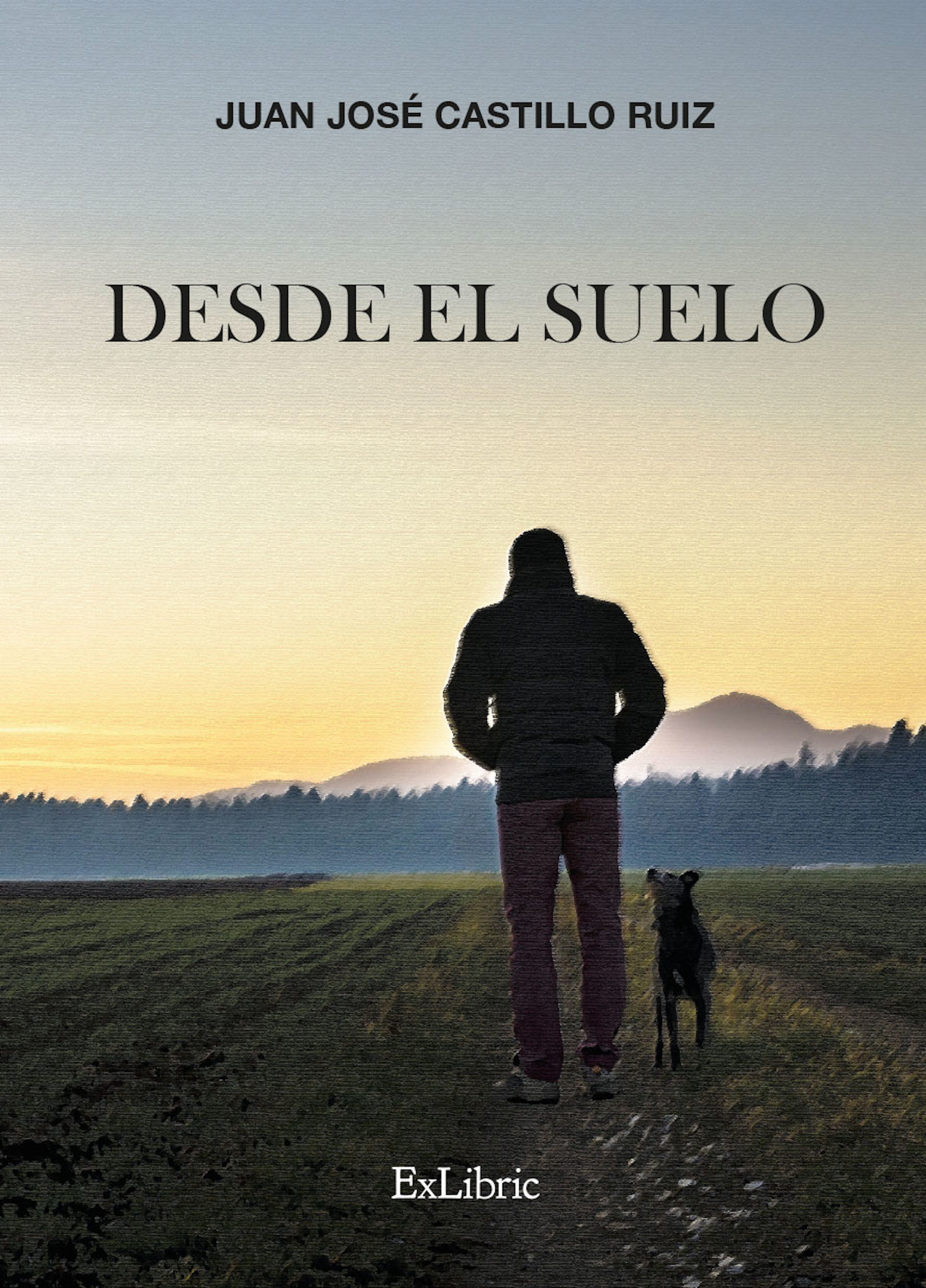 Обложка книги «Desde el suelo»