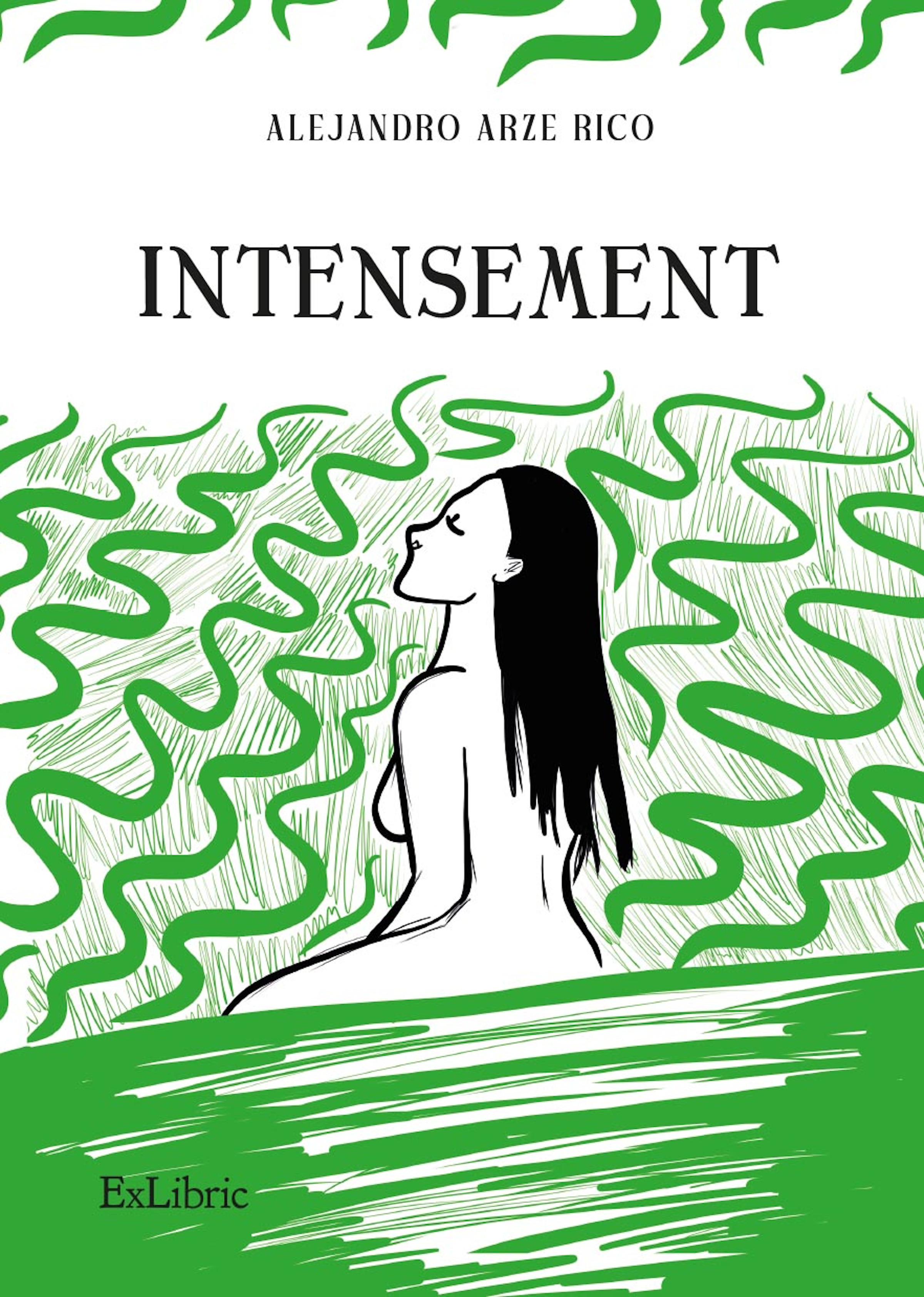 Обложка книги «Intensement»