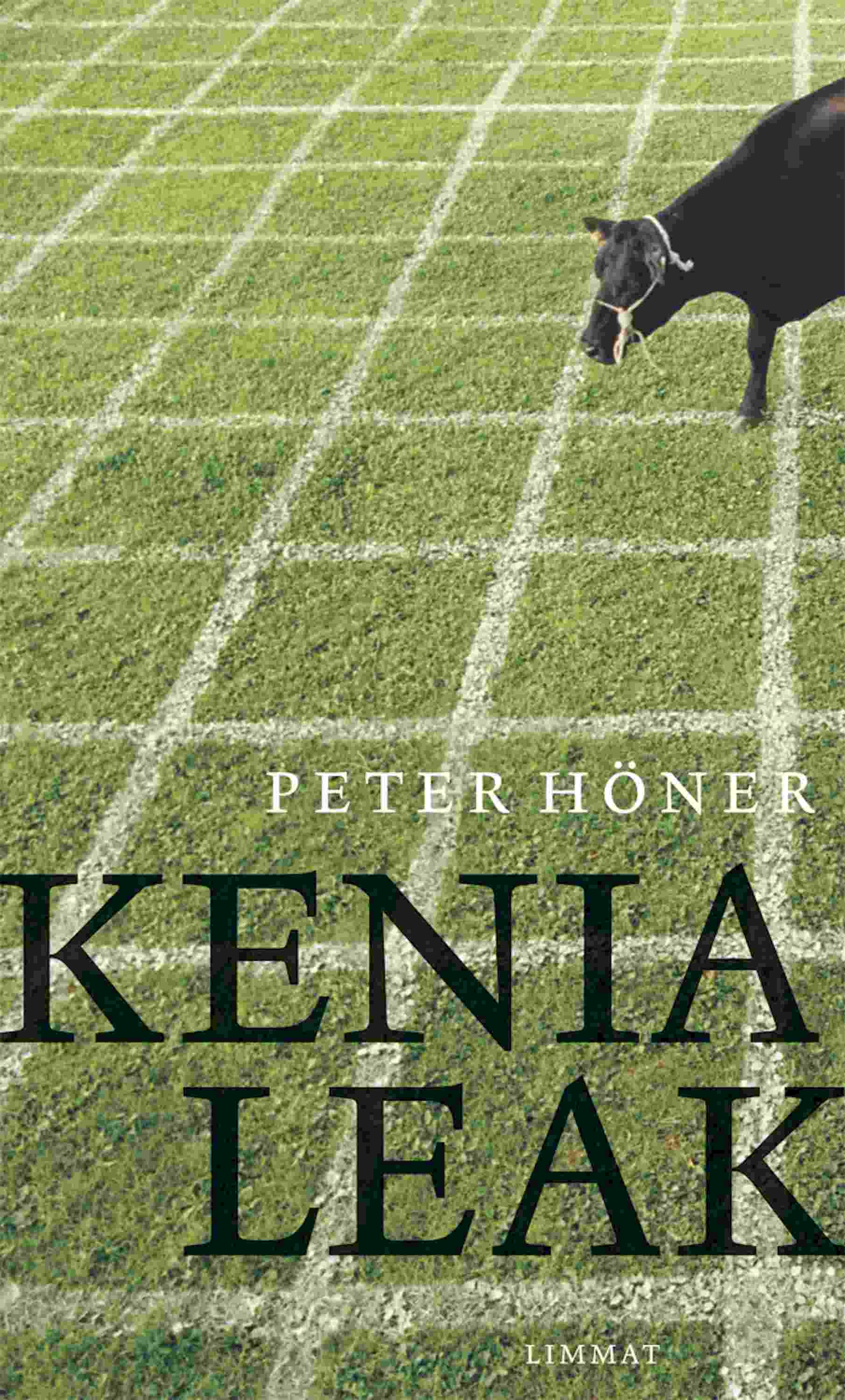 Обложка книги «Kenia Leak»
