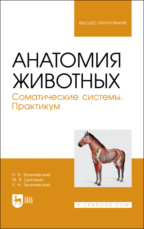 Обложка книги «Анатомия животных. Соматические системы. Практикум. Учебное пособие для вузов»