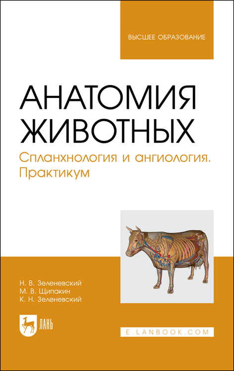 Обложка книги «Анатомия животных. Спланхнология и ангиология. Практикум. Учебное пособие для вузов»