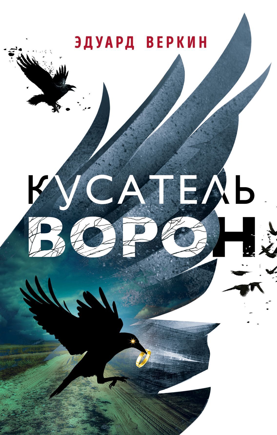Обложка книги «Кусатель ворон»