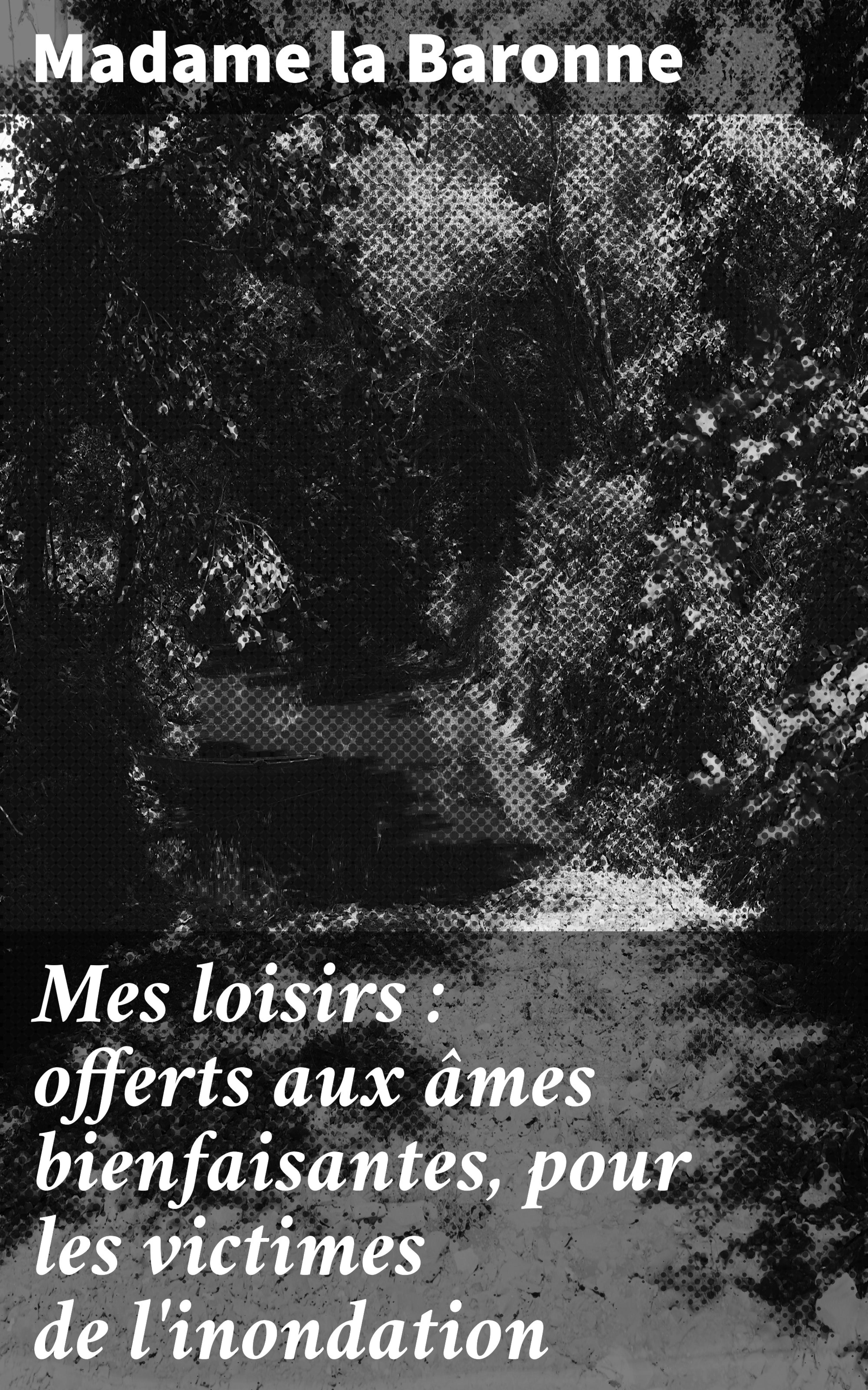 Обложка книги «Mes loisirs : offerts aux âmes bienfaisantes, pour les victimes de l'inondation»
