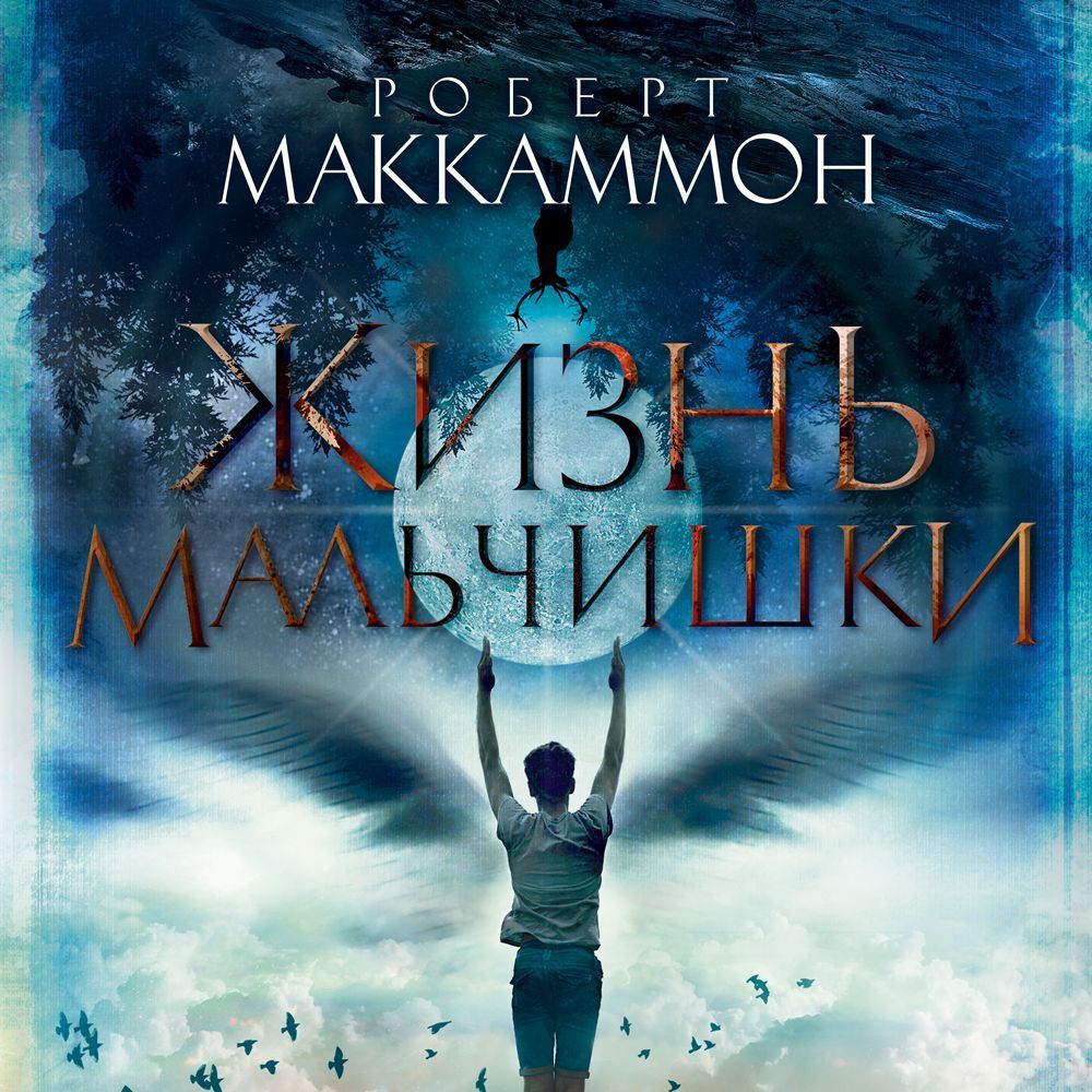 Обложка книги «Жизнь мальчишки»