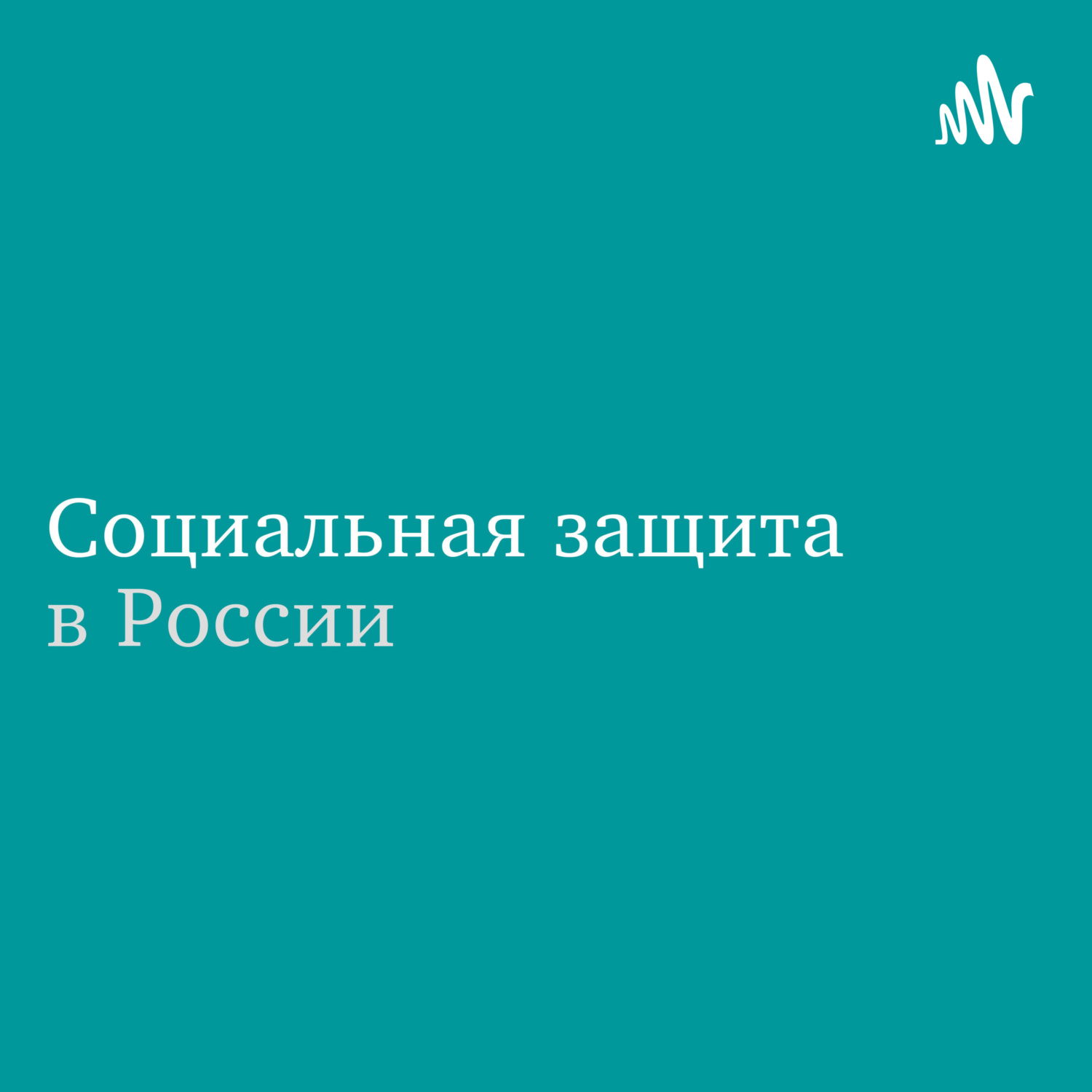 Обложка книги «Социальная защита в России»