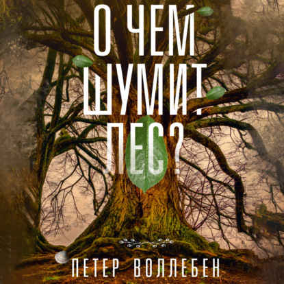 Обложка книги «О чем шумит лес?»