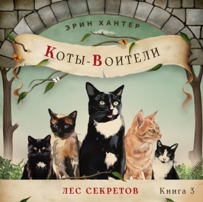 Обложка книги «Лес секретов»