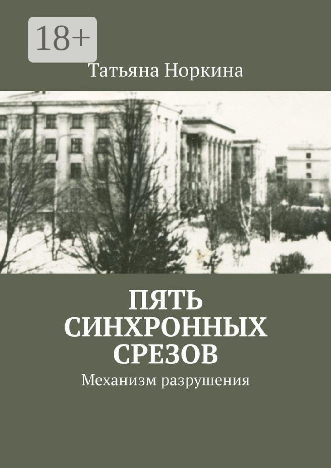 Обложка книги «Пять синхронных срезов. Механизм разрушения»