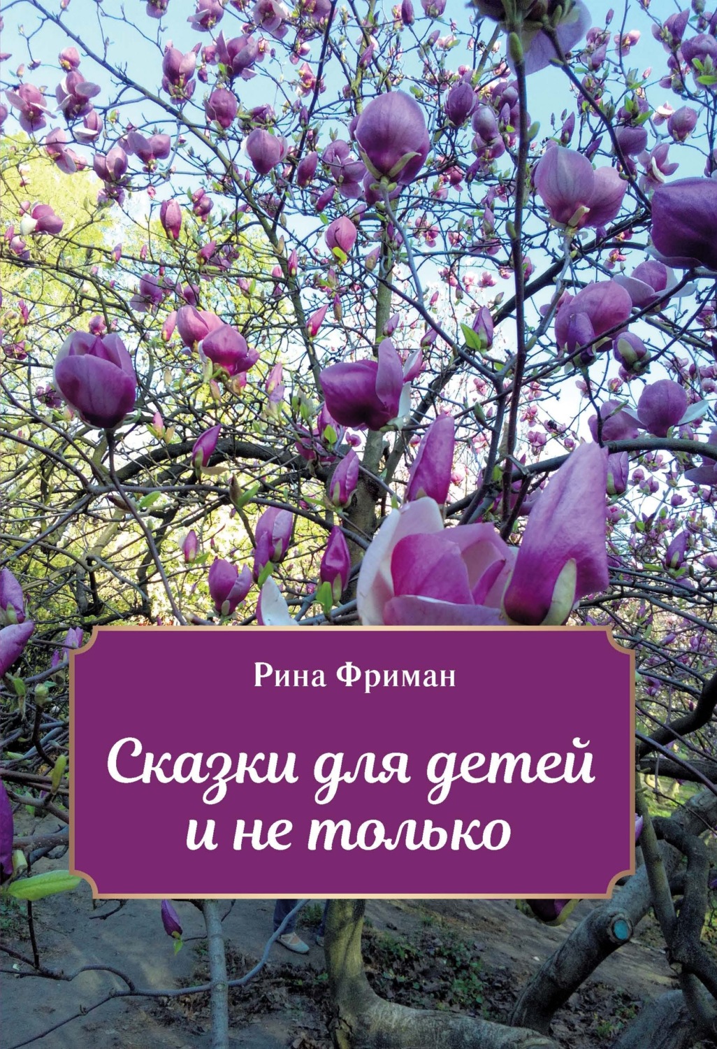 Обложка книги «Сказки для детей и не только»