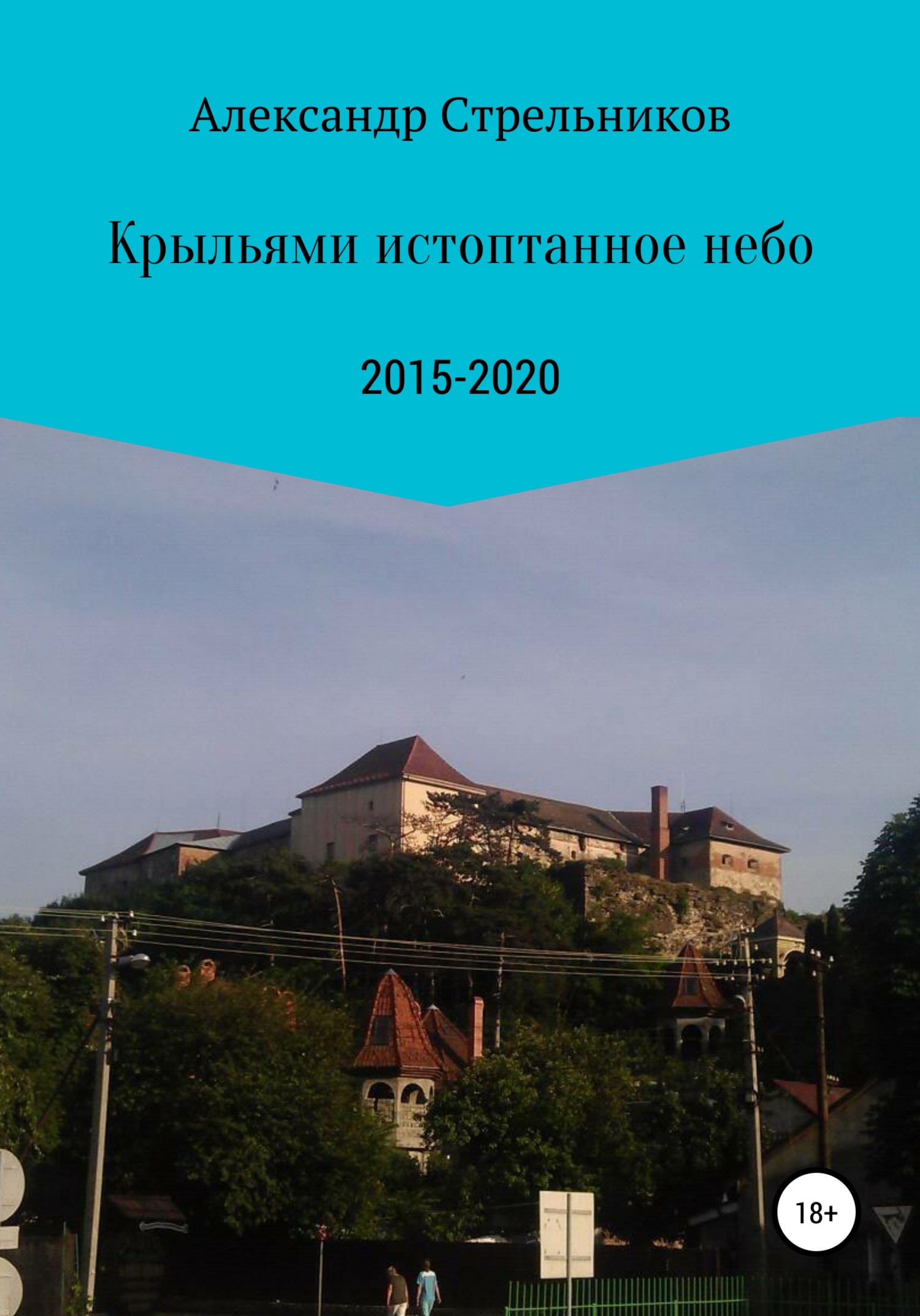 Обложка книги «Крыльями истоптанное небо»