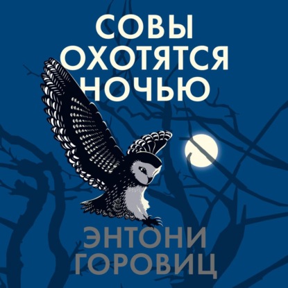 Обложка книги «Совы охотятся ночью»