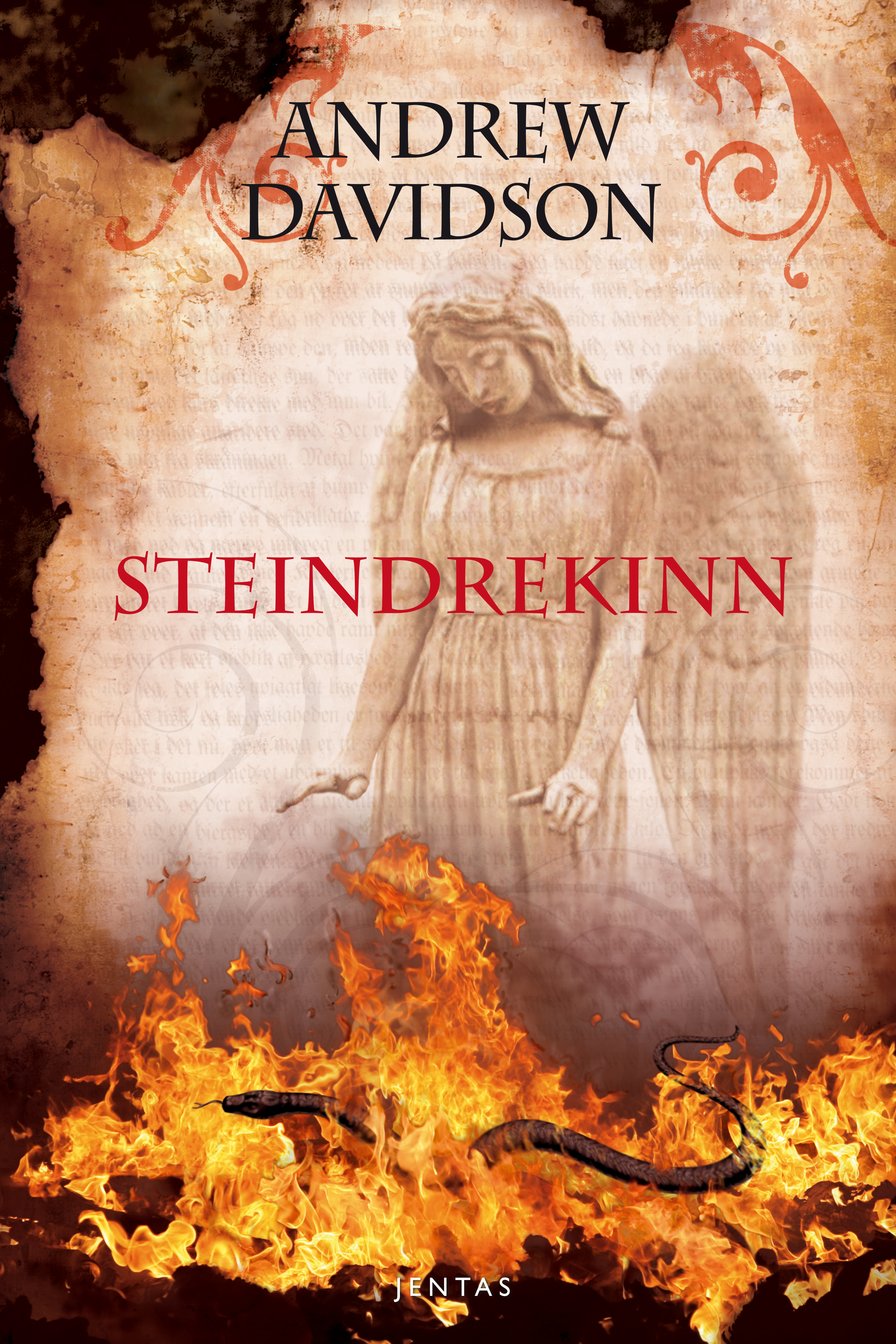 Обложка книги «Steindrekinn»