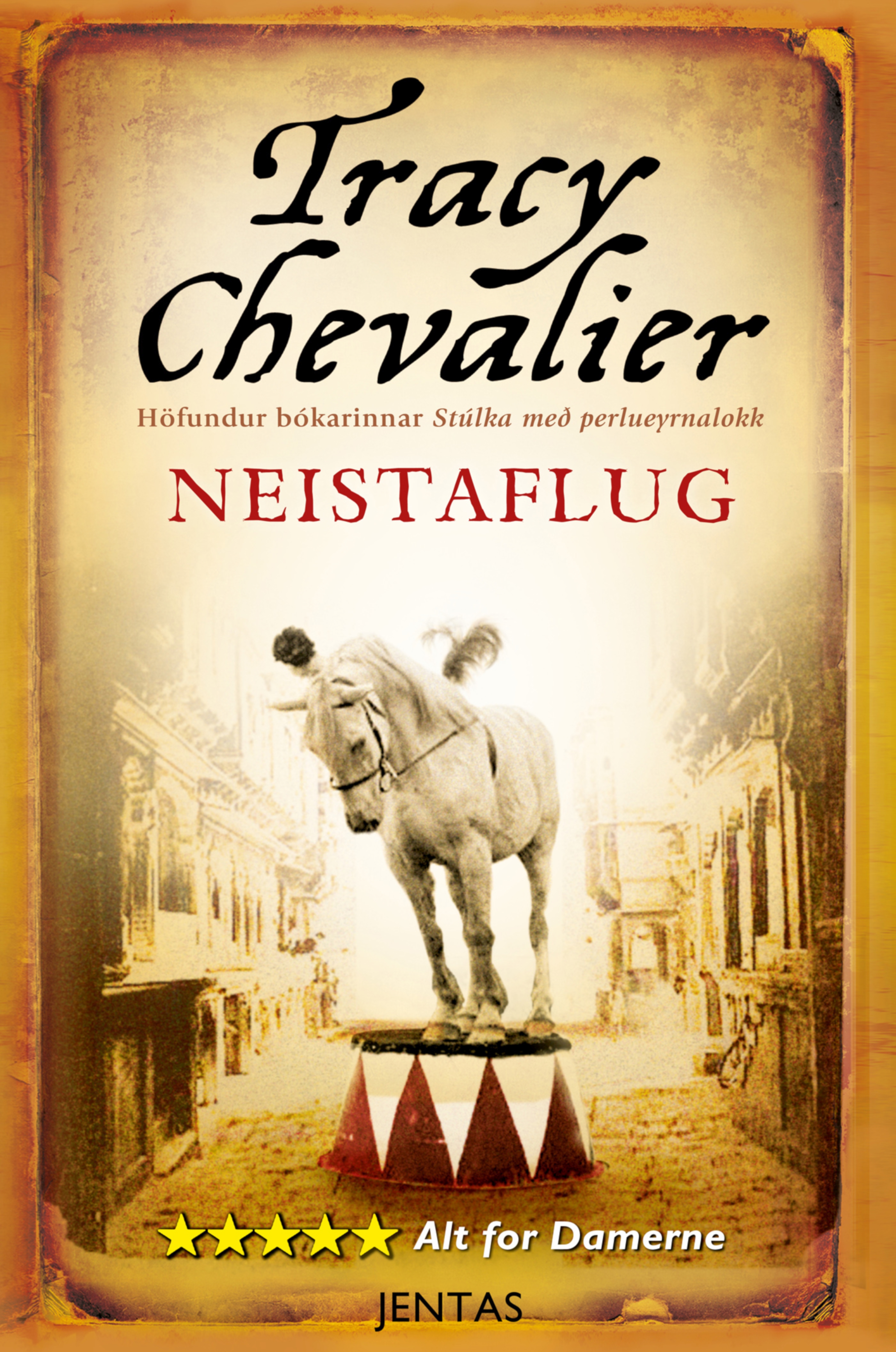 Обложка книги «Neistaflug»