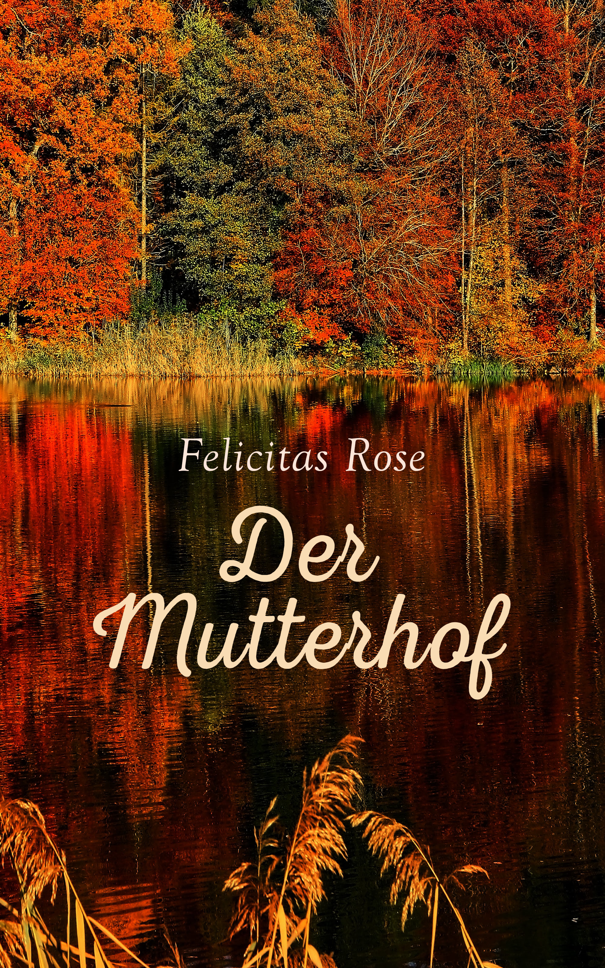 Обложка книги «Der Mutterhof»