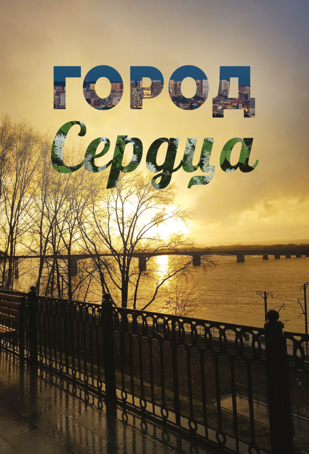Обложка книги «Город сердца»