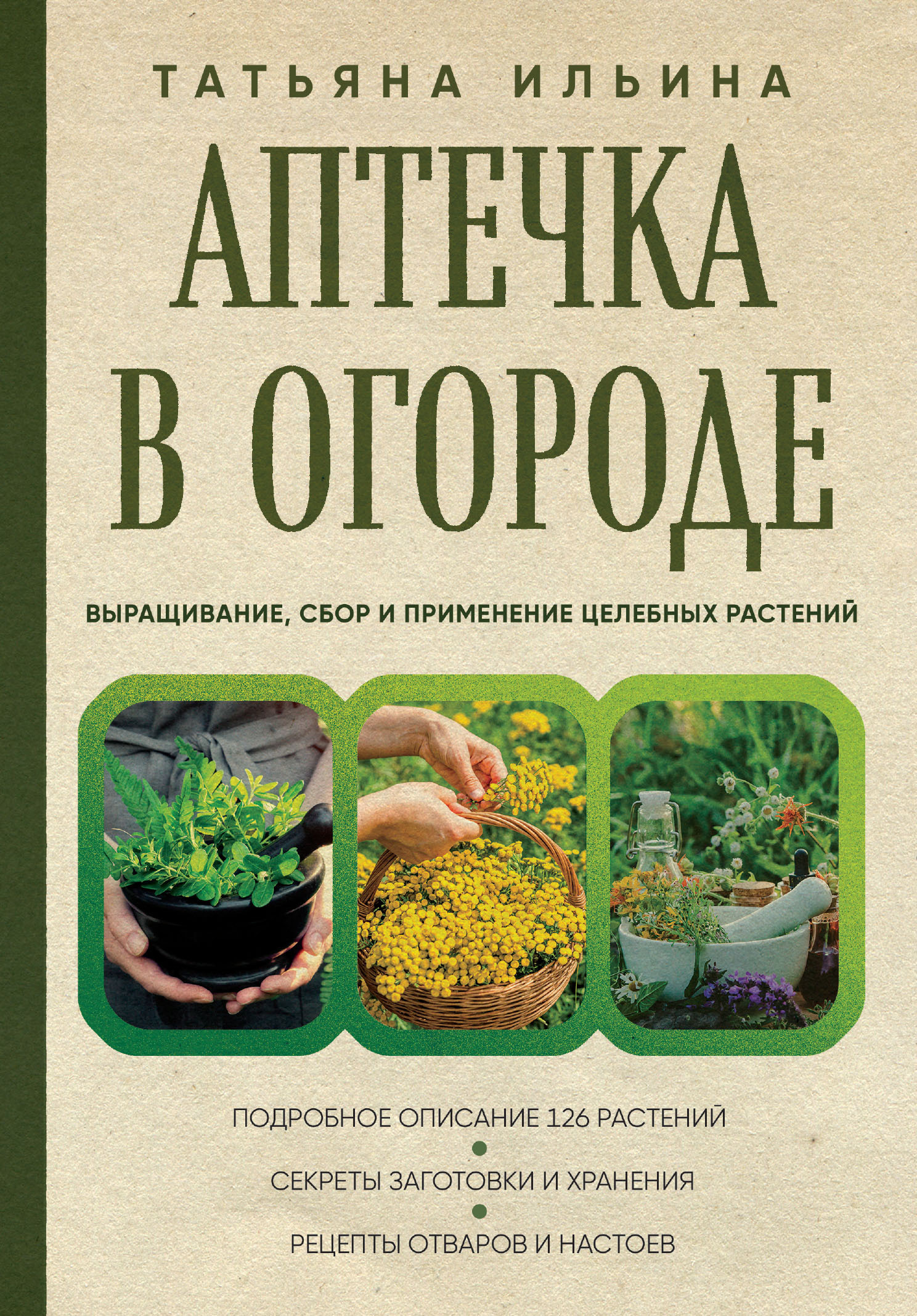Обложка книги «Аптечка в огороде. Выращивание, сбор и применение целебных растений»