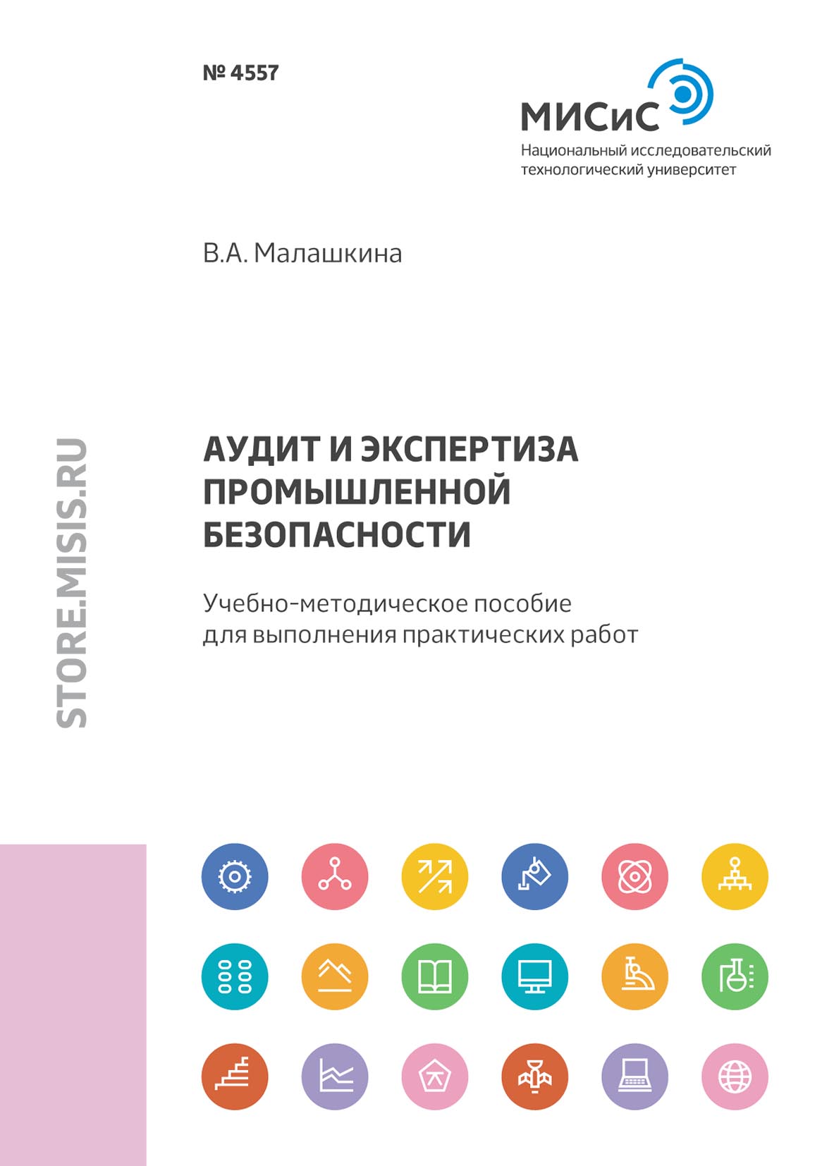 Обложка книги «Аудит и экспертиза промышленной безопасности»