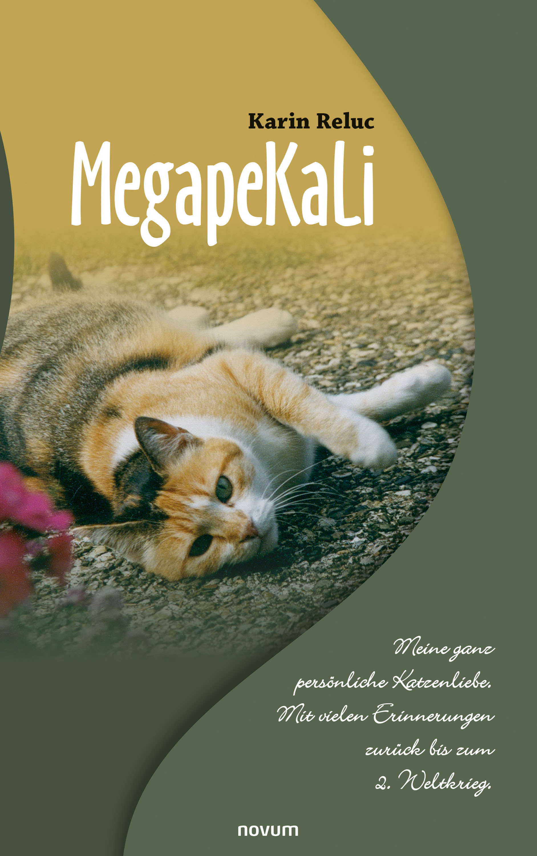 Обложка книги «MegapeKaLi»