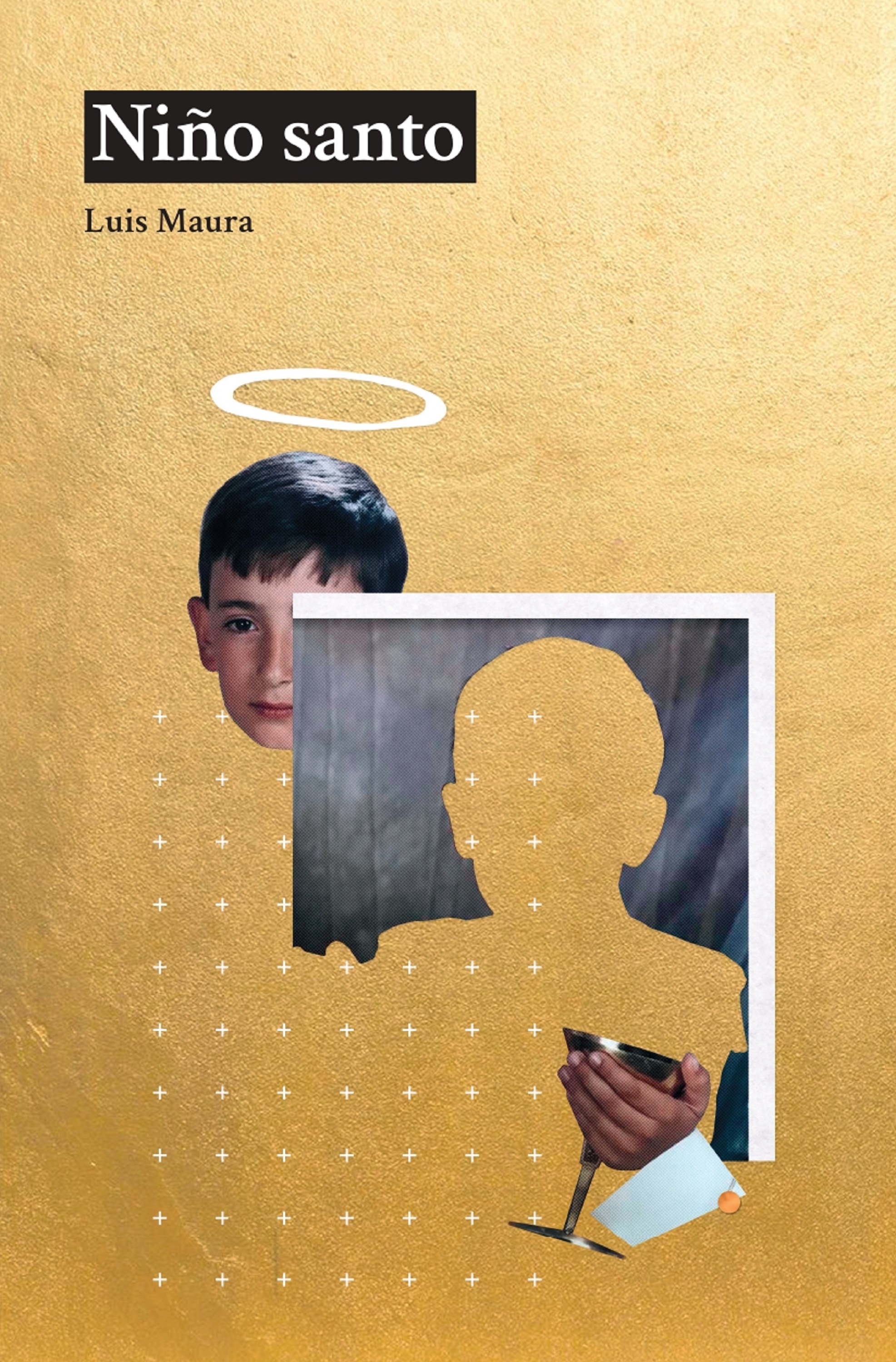 Обложка книги «Niño santo»